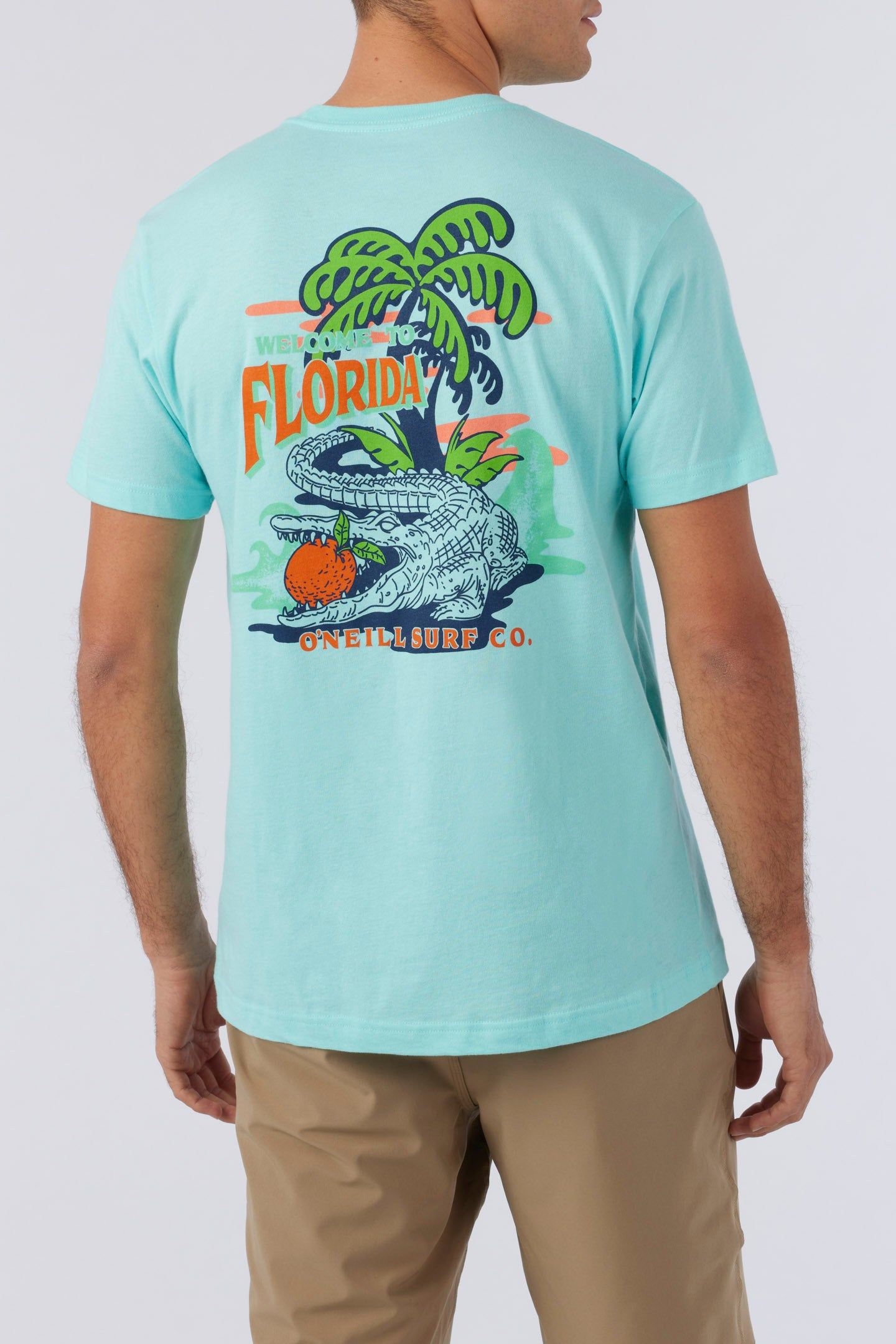 CITRUS STATE TEE sold by O'Neill product image thumbnail 5