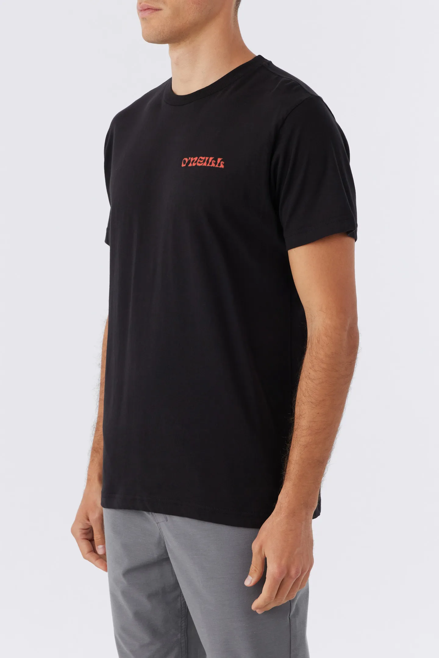 STEAMER VIEW TEE sold by O'Neill product image thumbnail 4