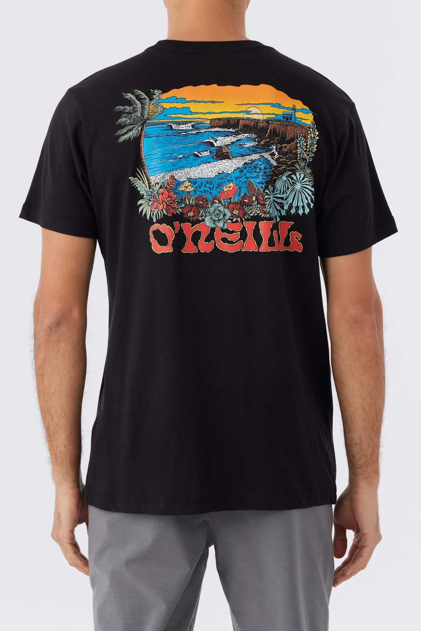 STEAMER VIEW TEE sold by O'Neill product image thumbnail 5