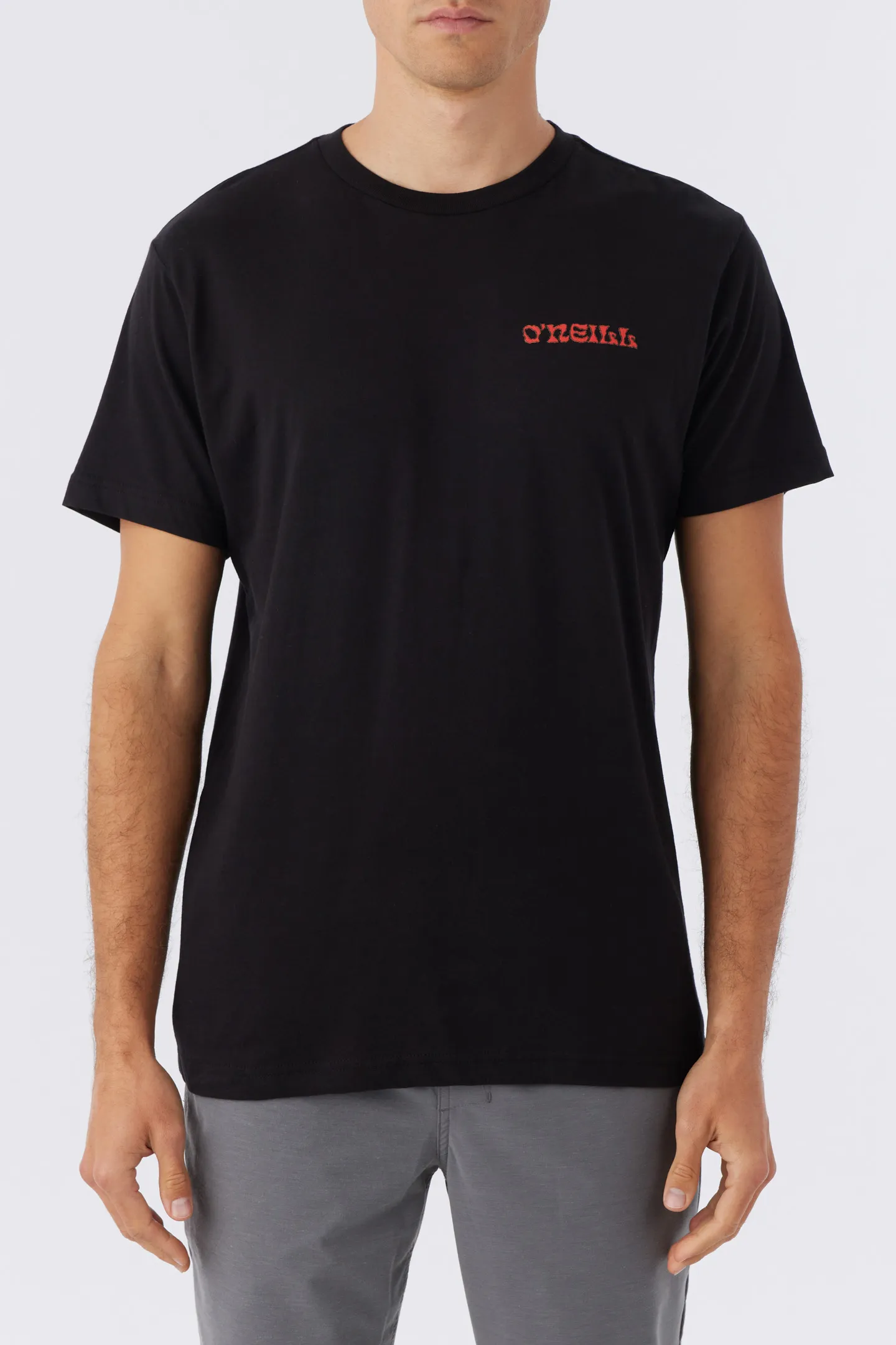STEAMER VIEW TEE sold by O'Neill product image thumbnail 2