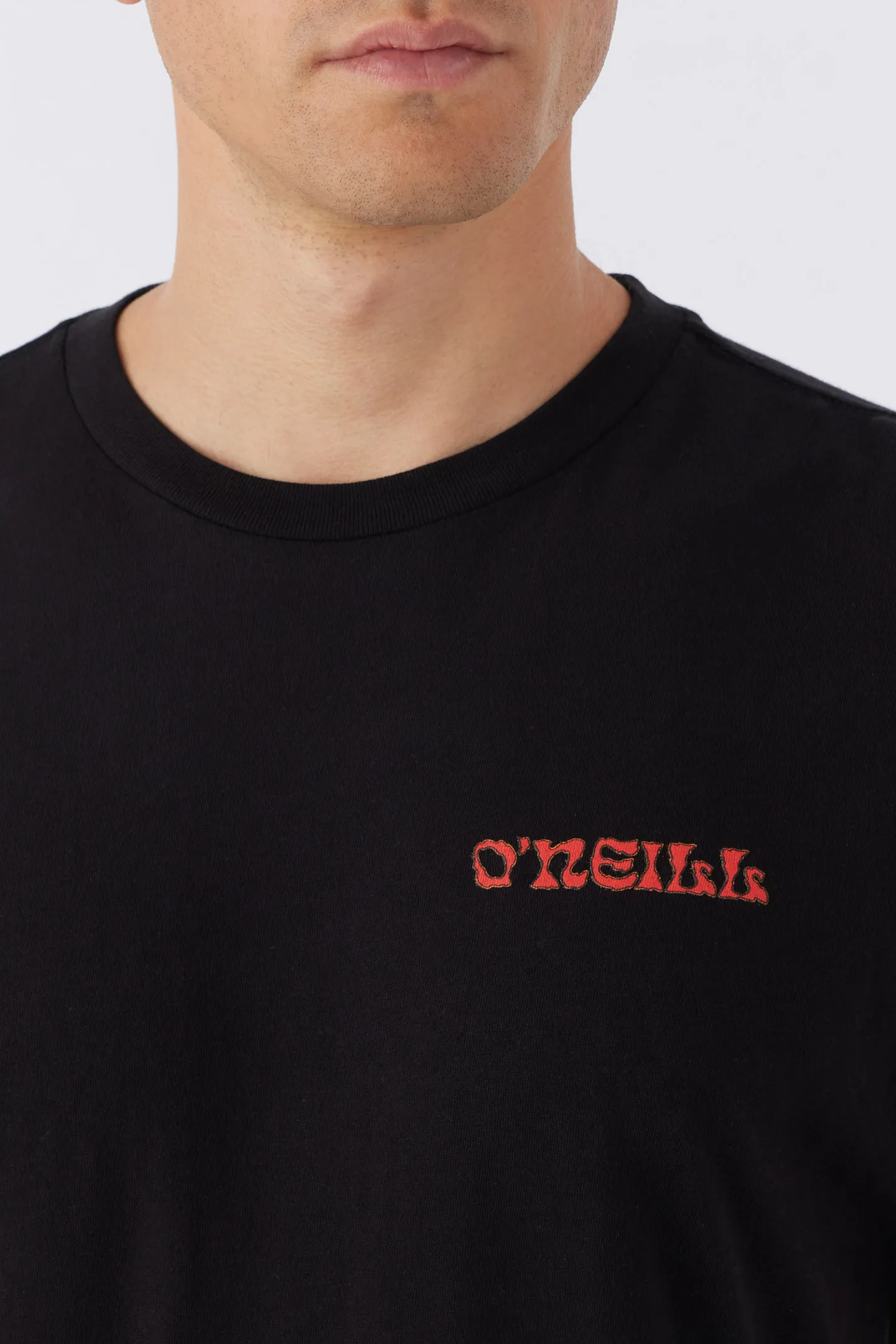 STEAMER VIEW TEE sold by O'Neill product image thumbnail 3