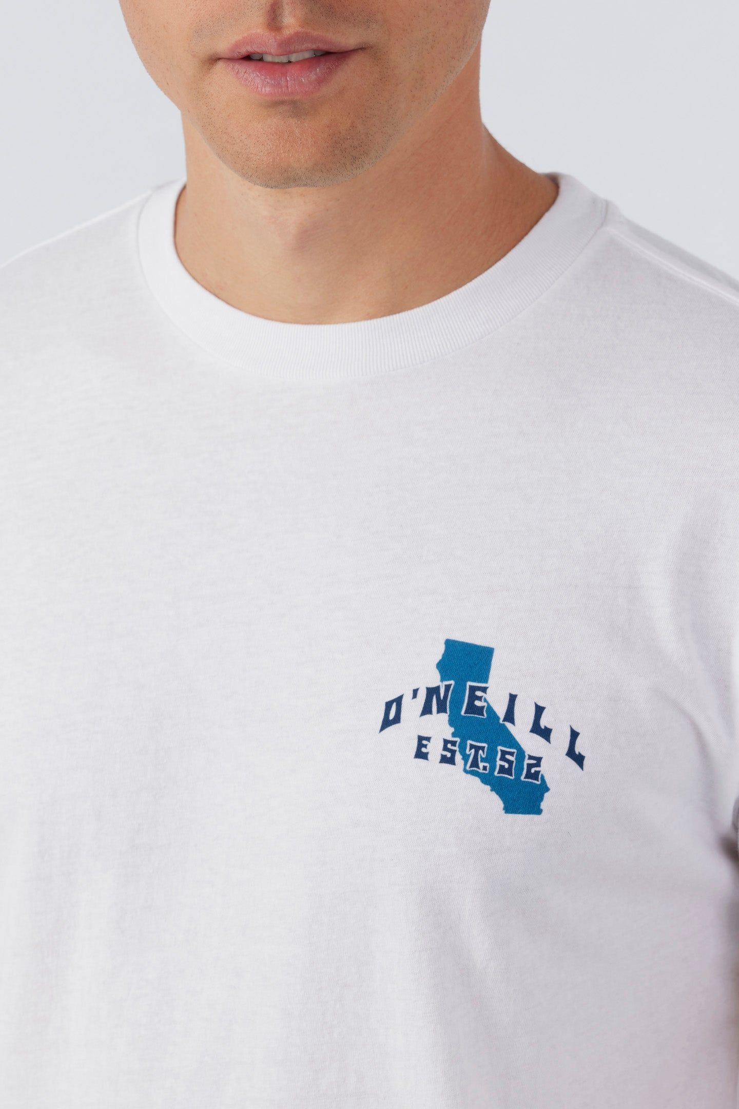 CALI BEACH BREAK TEE sold by O'Neill product image thumbnail 4