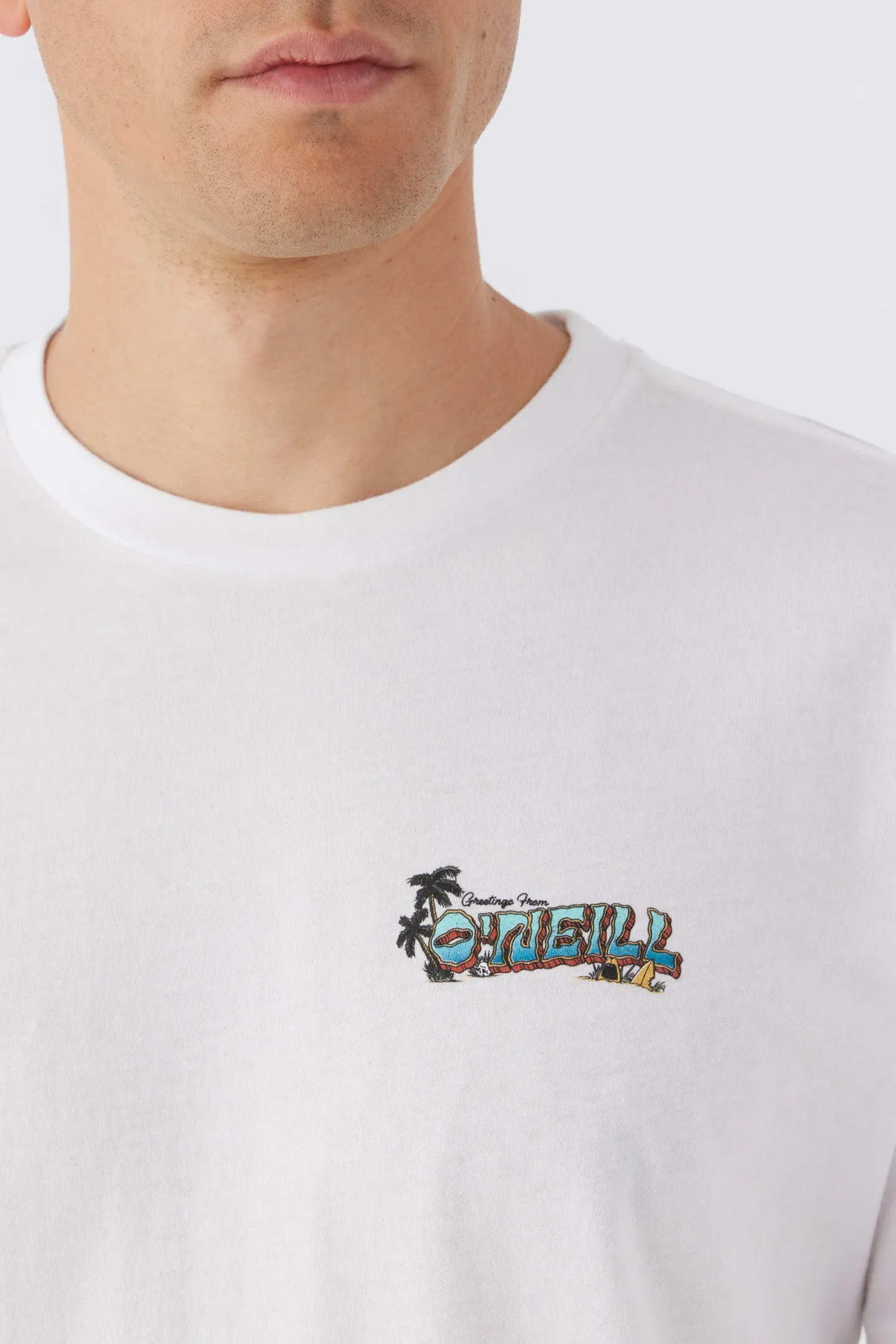 GREETINGS TEE sold by O'Neill product image thumbnail 3