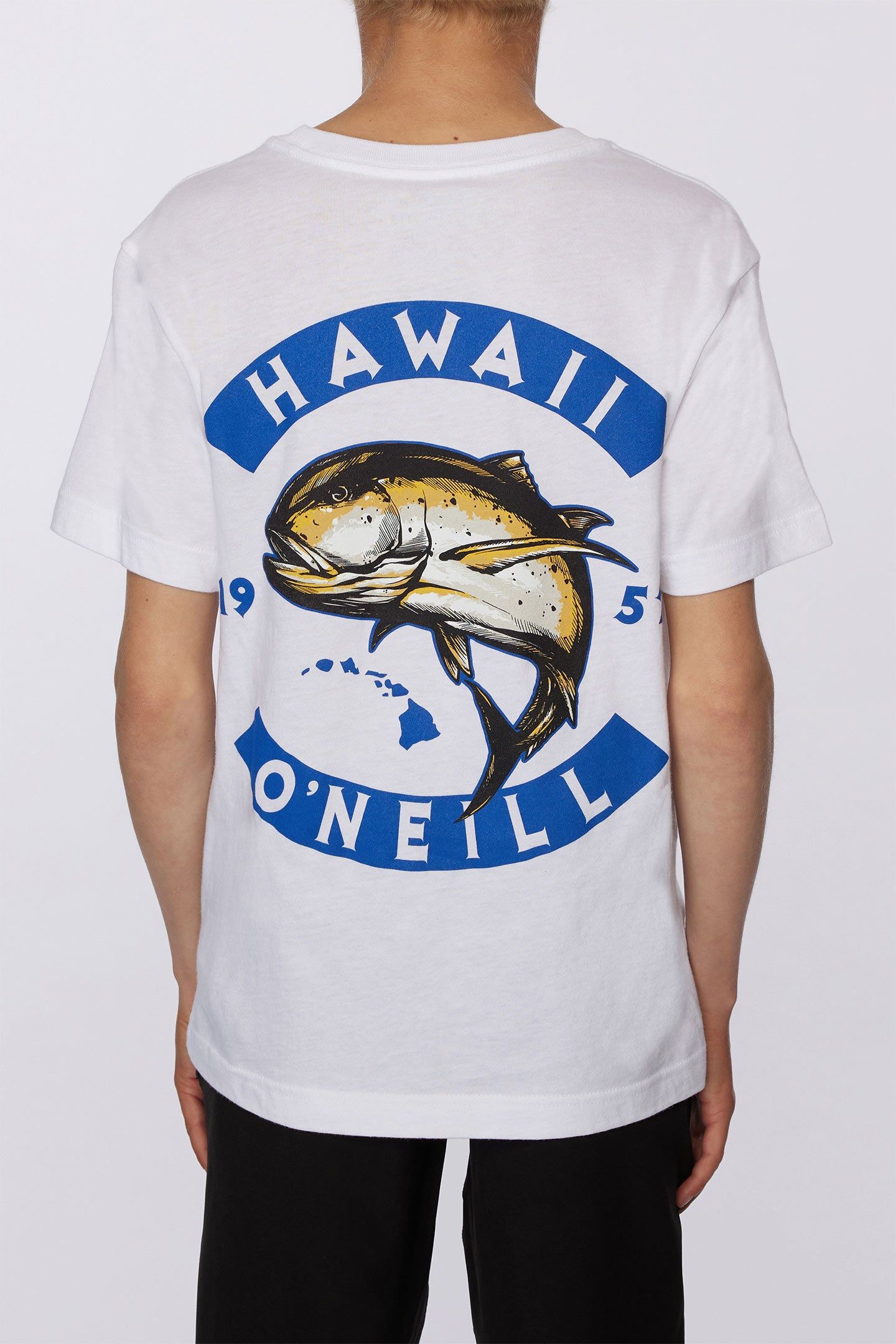BOY'S ULUA TEE sold by O'Neill product image thumbnail 2