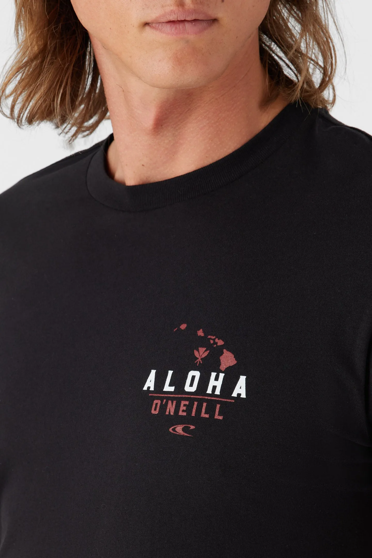 ALL DAY ALOHA TEE sold by O'Neill product image thumbnail 3