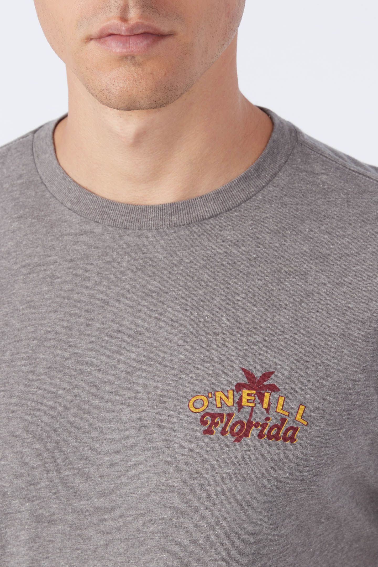 TWIN PALMS TEE sold by O'Neill product image thumbnail 4