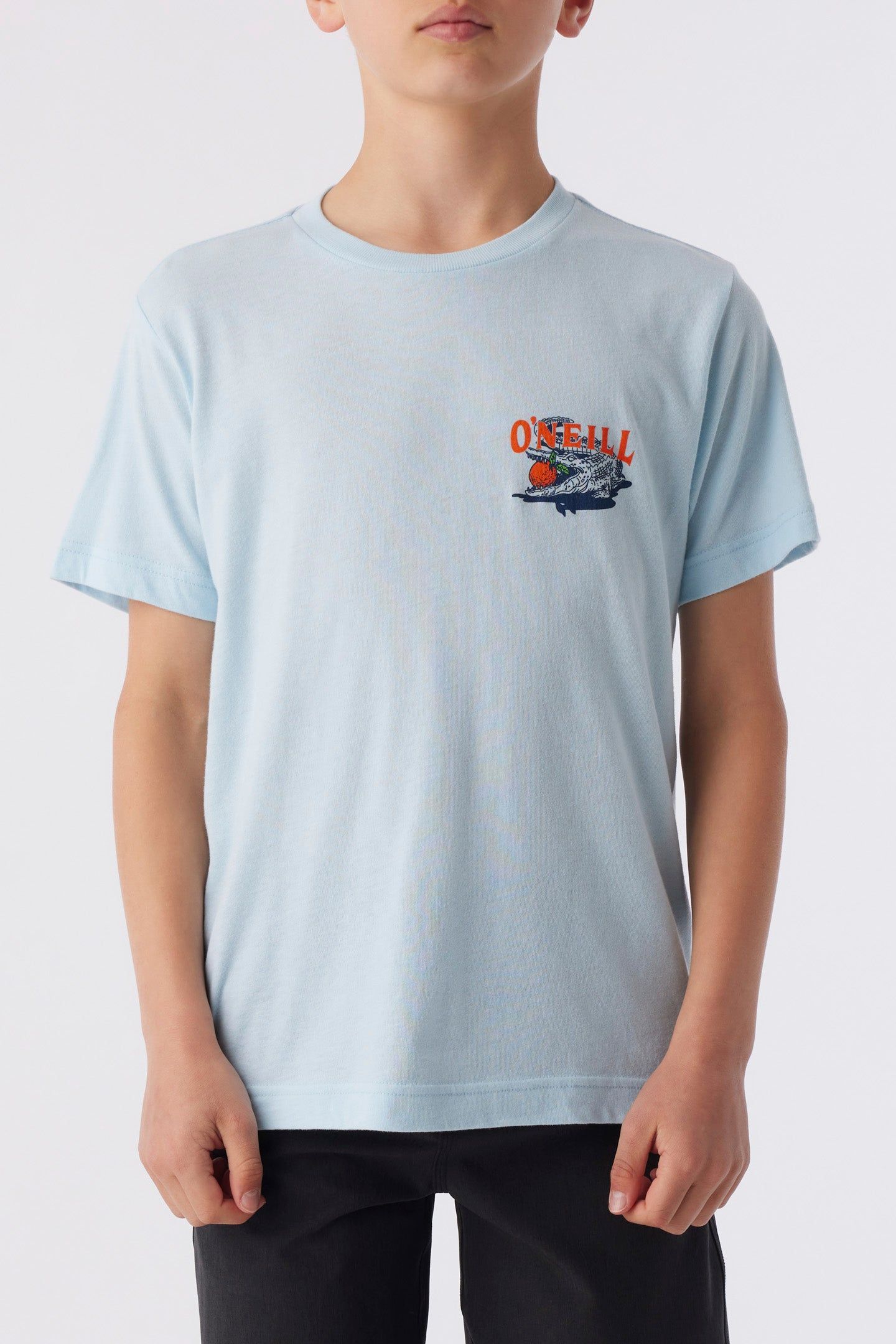 BOY'S CITRUS STATE TEE sold by O'Neill product image thumbnail 2