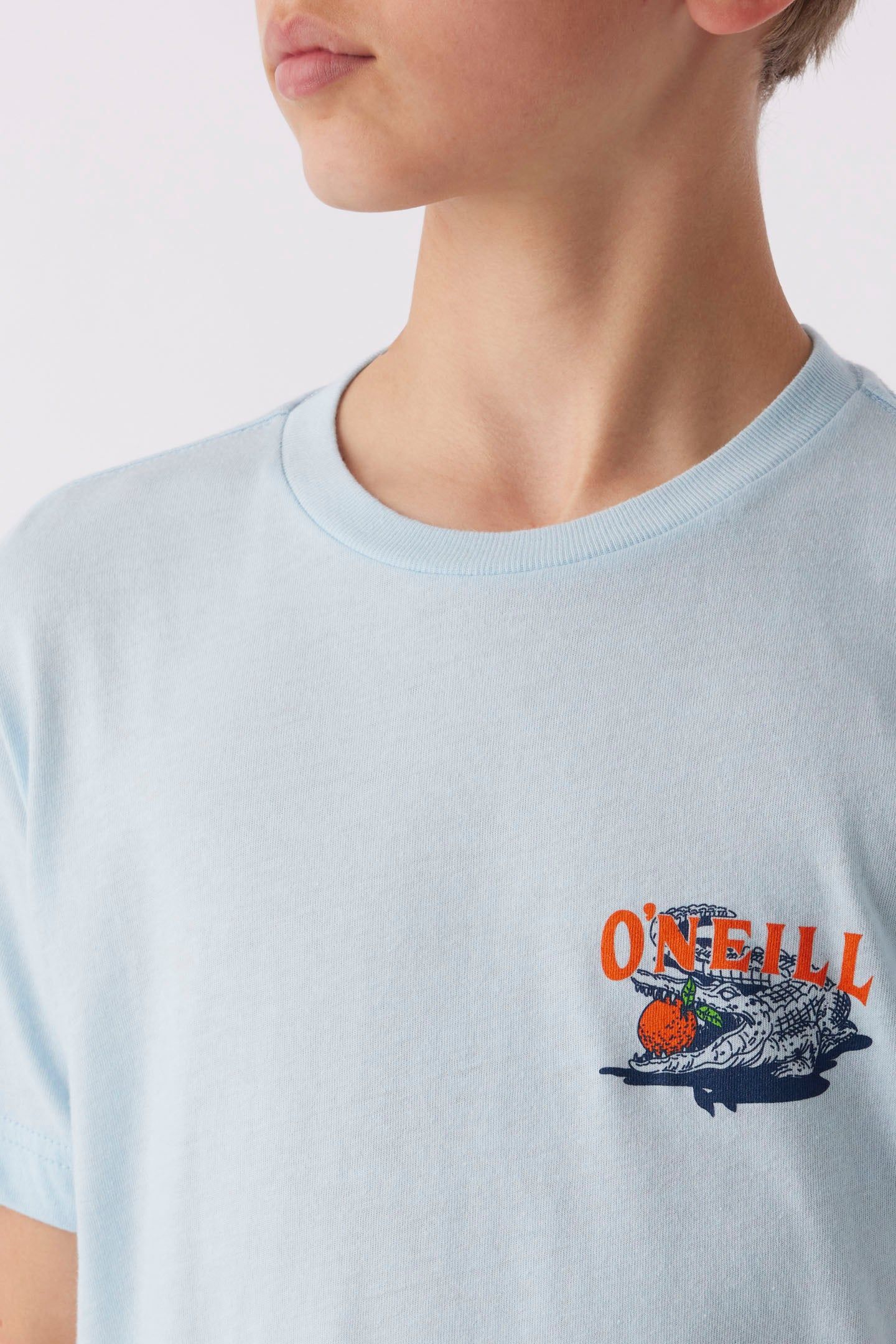 BOY'S CITRUS STATE TEE sold by O'Neill product image thumbnail 3