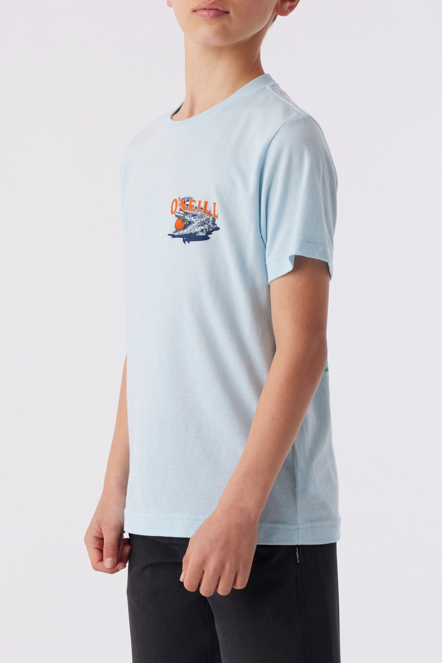 BOY'S CITRUS STATE TEE sold by O'Neill product image thumbnail 4