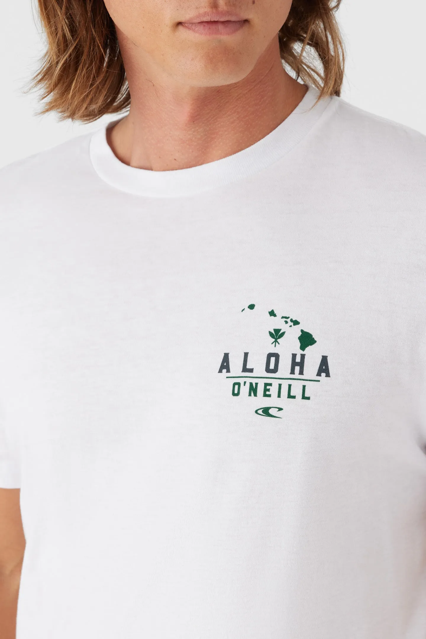 ALL DAY ALOHA TEE sold by O'Neill product image thumbnail 3