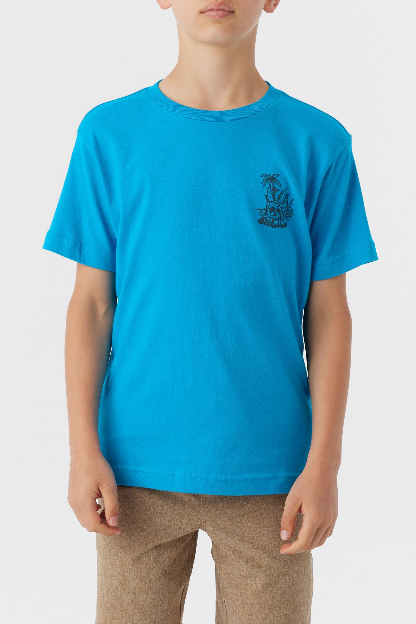 BOY'S BOBBER TEE sold by O'Neill product image thumbnail 2