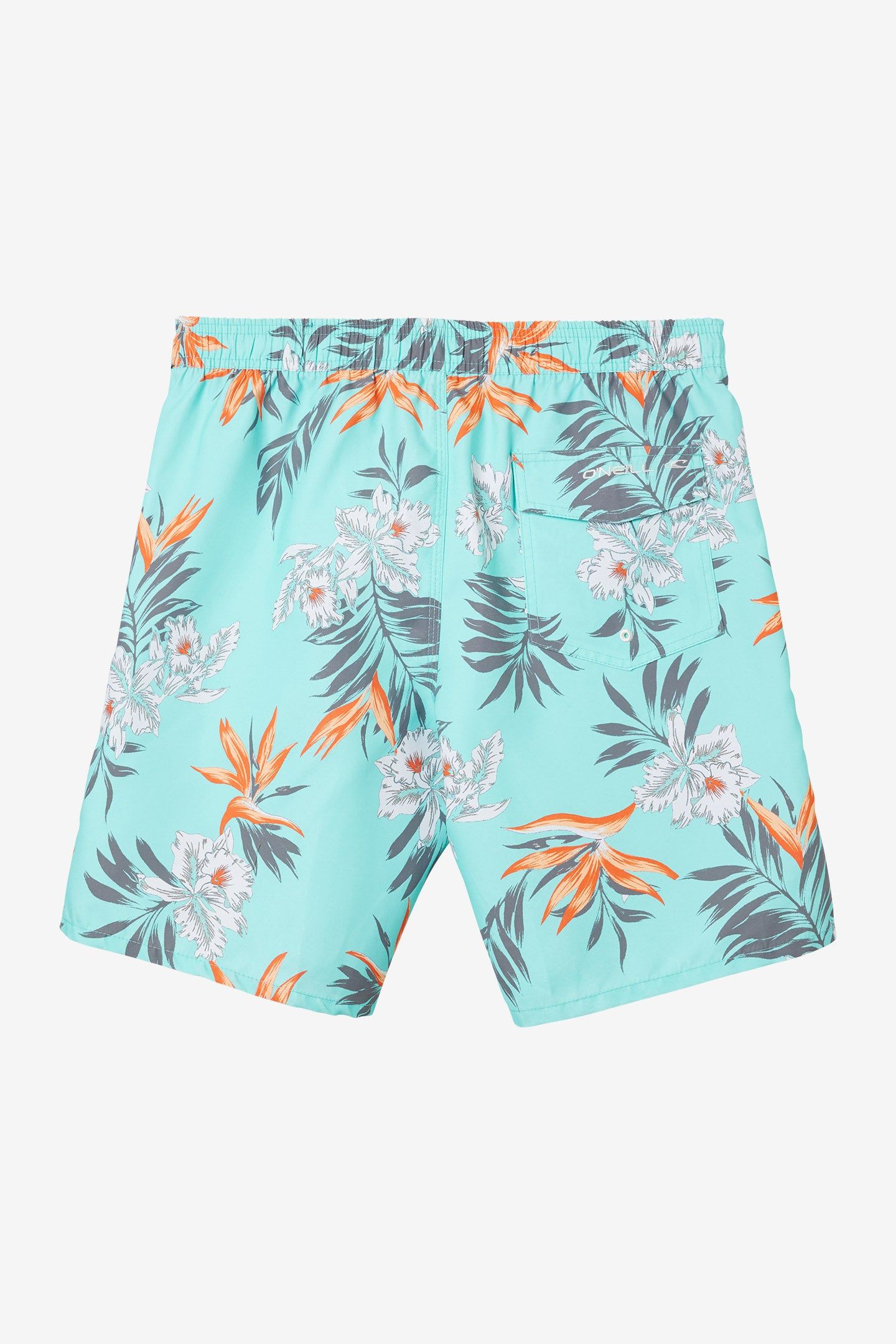 SANTA CRUZ DEPARTURE VOLLEY 18" BOARDSHORTS sold by O'Neill product image thumbnail 2
