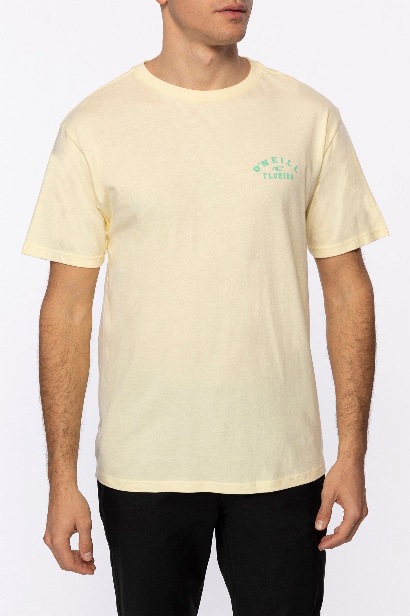 PIGGYBACK TEE sold by O'Neill product image thumbnail 3