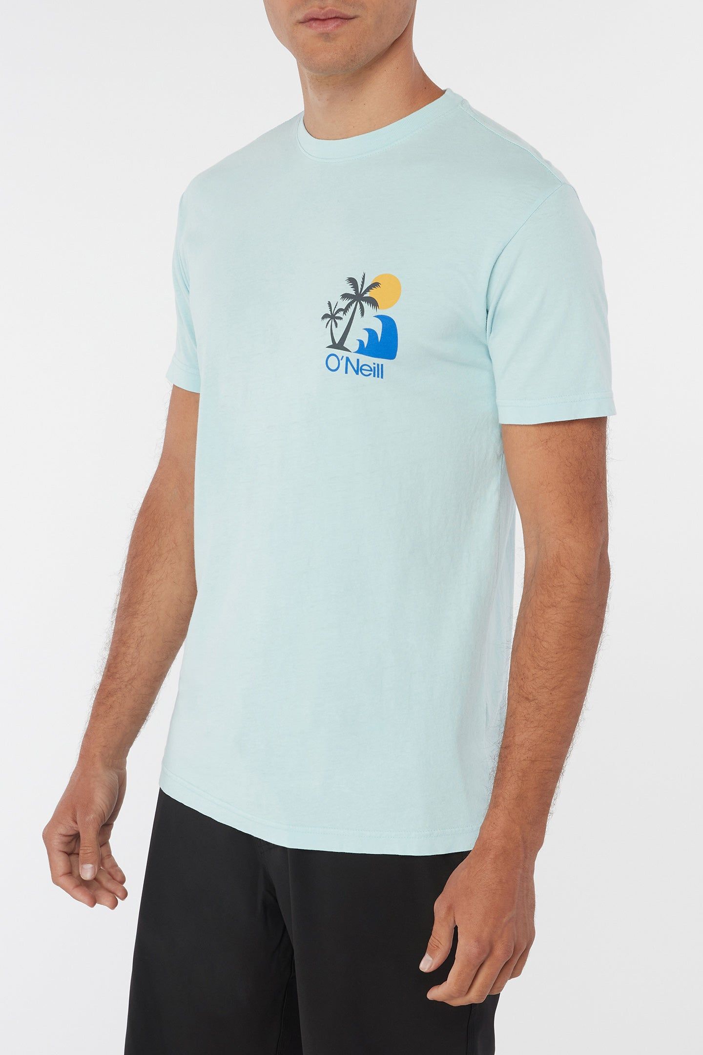 MYTHIC PALMS TEE sold by O'Neill product image thumbnail 5
