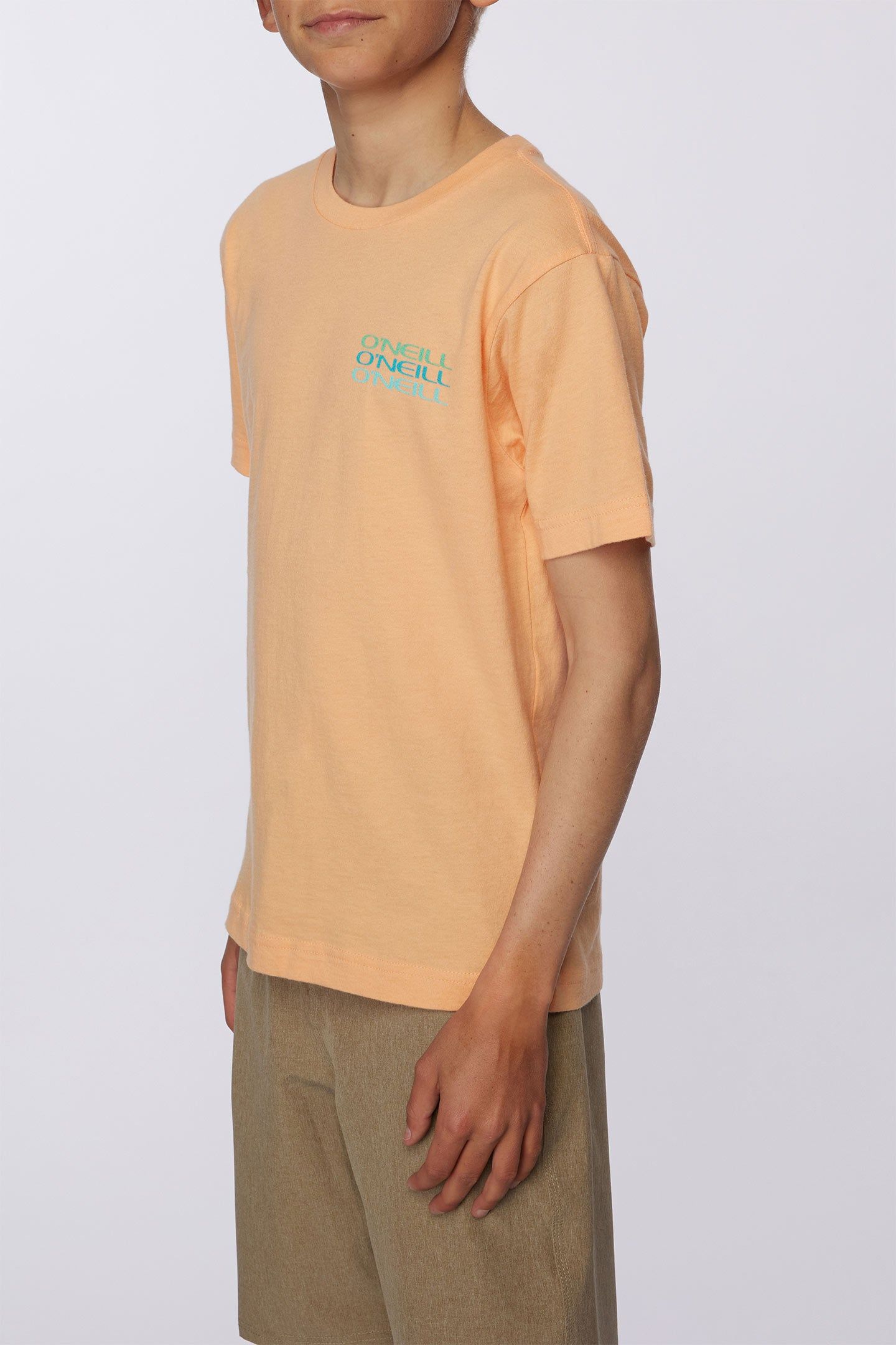 BOY'S PRIMARY TEE sold by O'Neill product image thumbnail 4