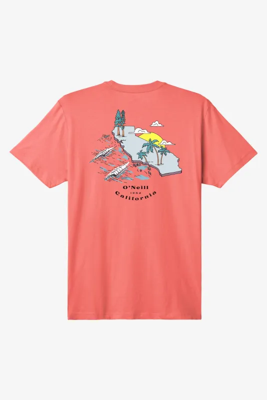 BIRDSEYE TEE sold by O'Neill