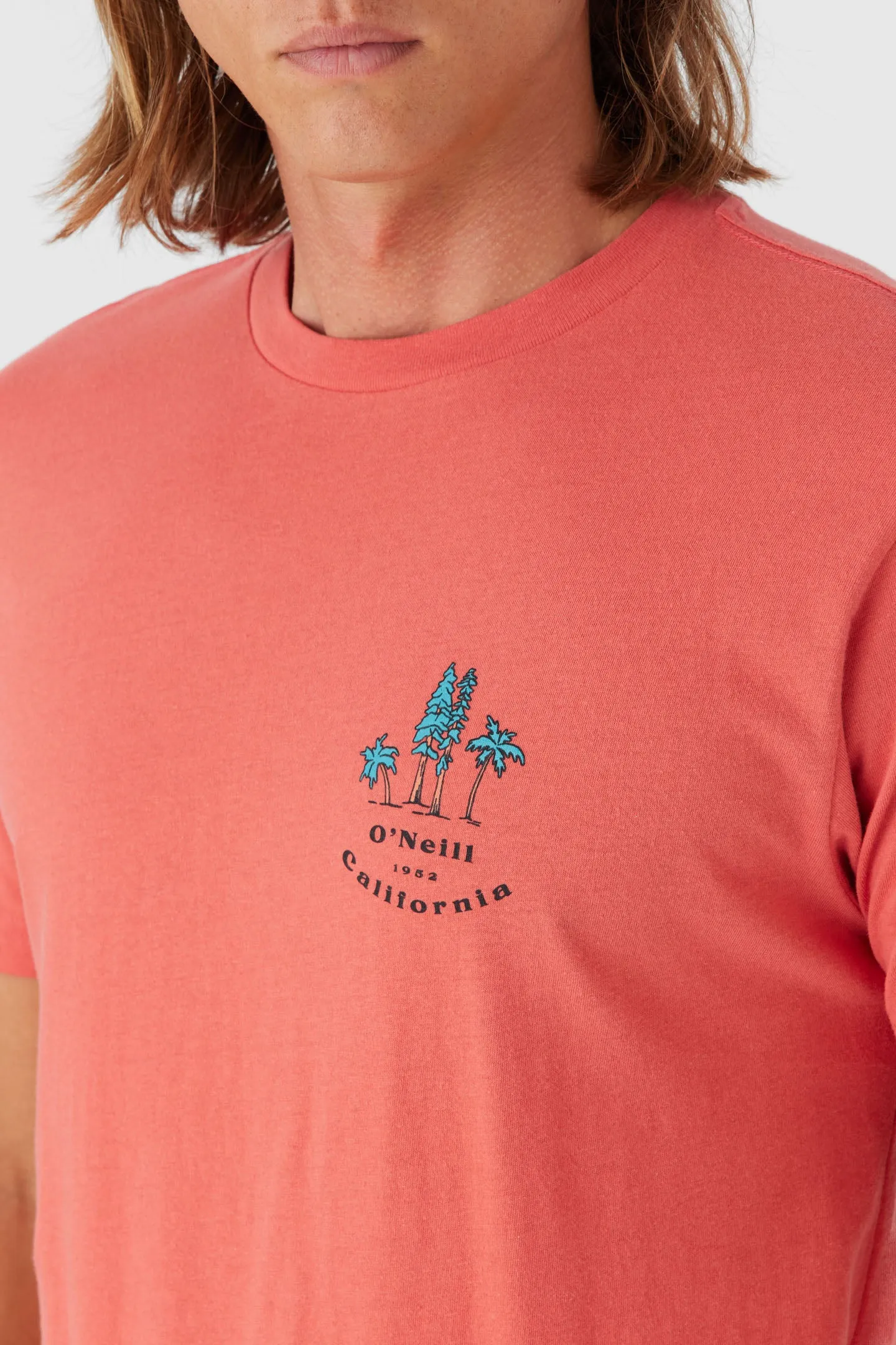BIRDSEYE TEE sold by O'Neill product image thumbnail 3