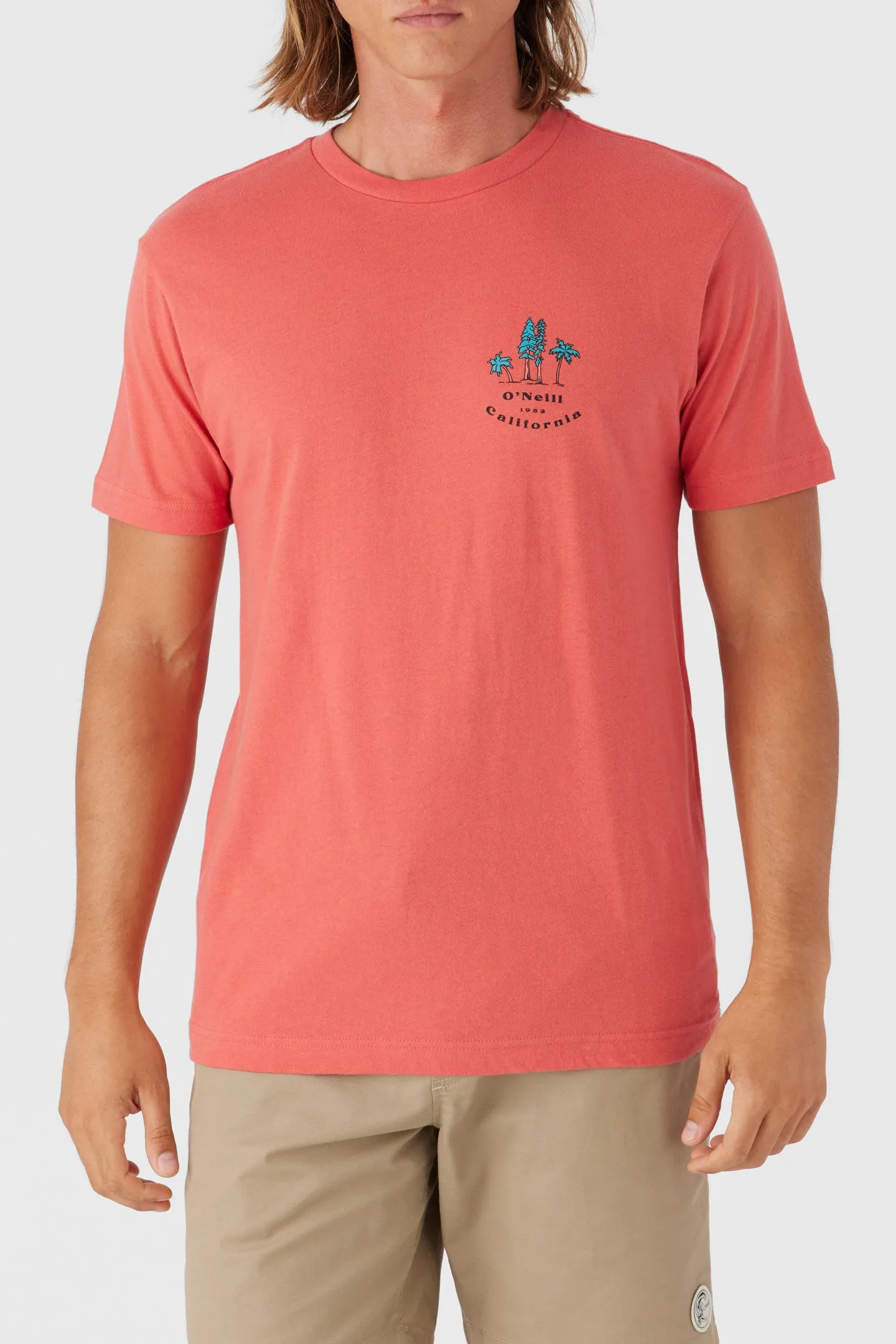 BIRDSEYE TEE sold by O'Neill product image thumbnail 2