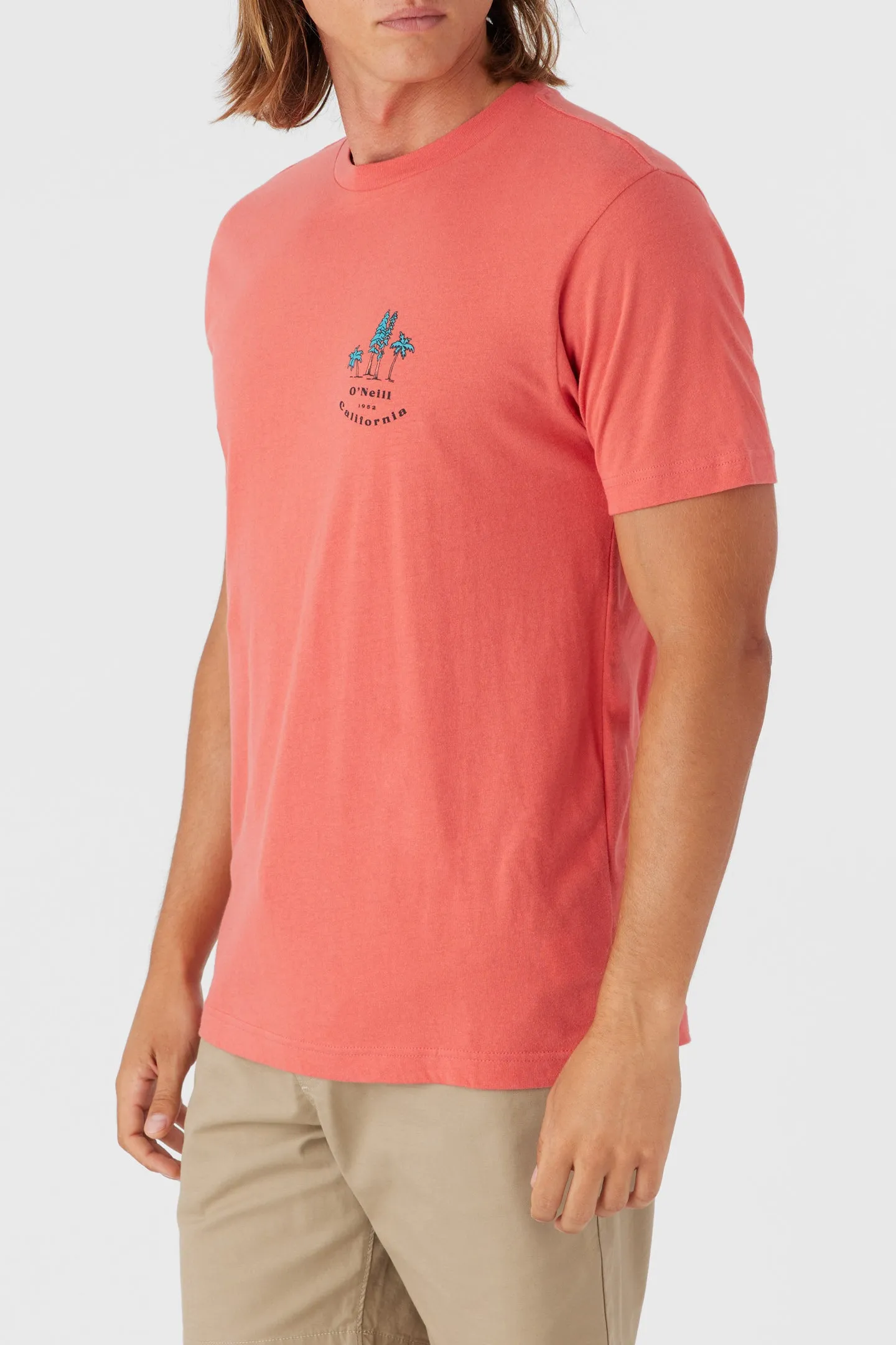 BIRDSEYE TEE sold by O'Neill product image thumbnail 4