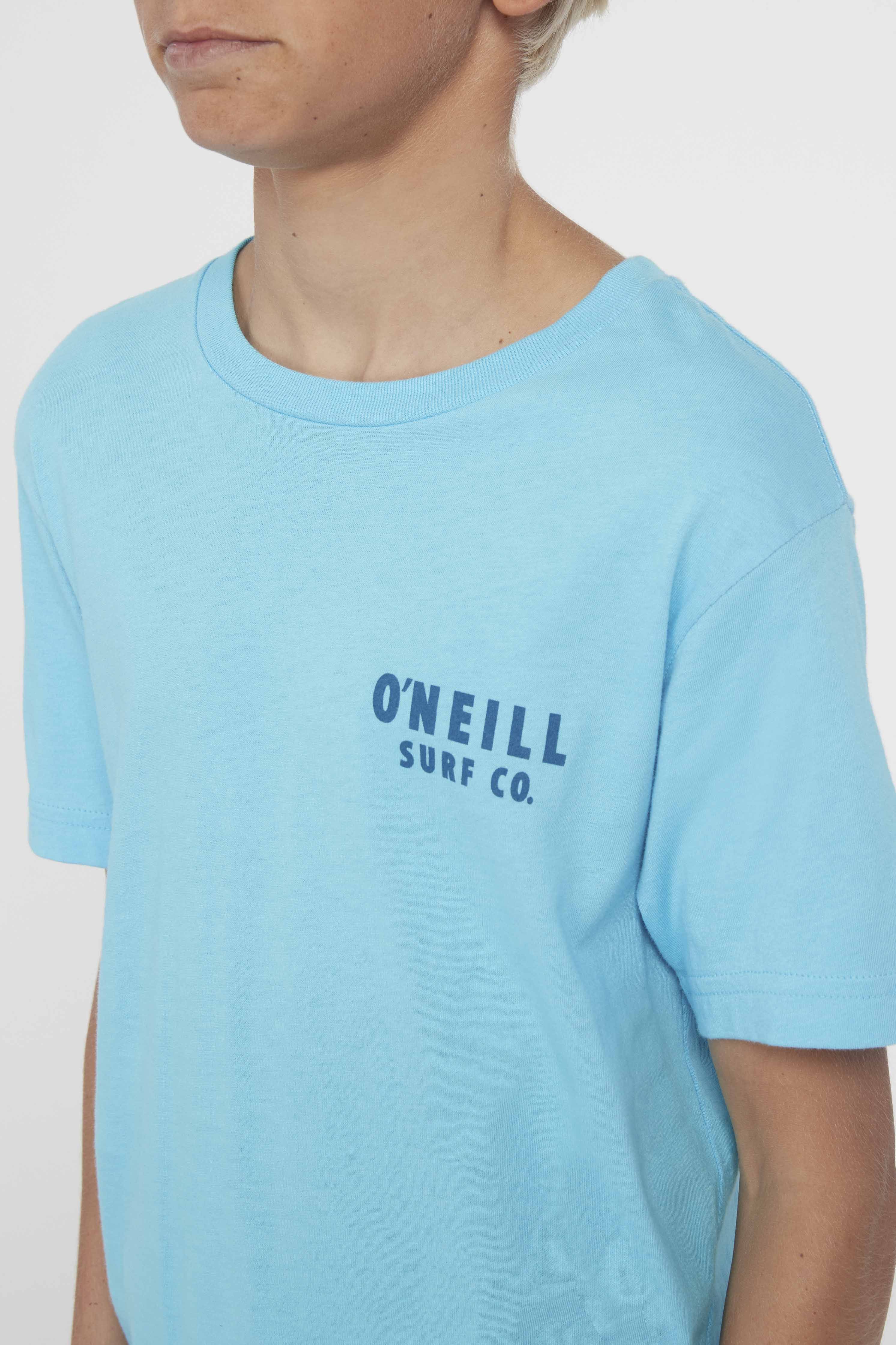 BOY'S STAINED GLASS TEE sold by O'Neill product image thumbnail 4