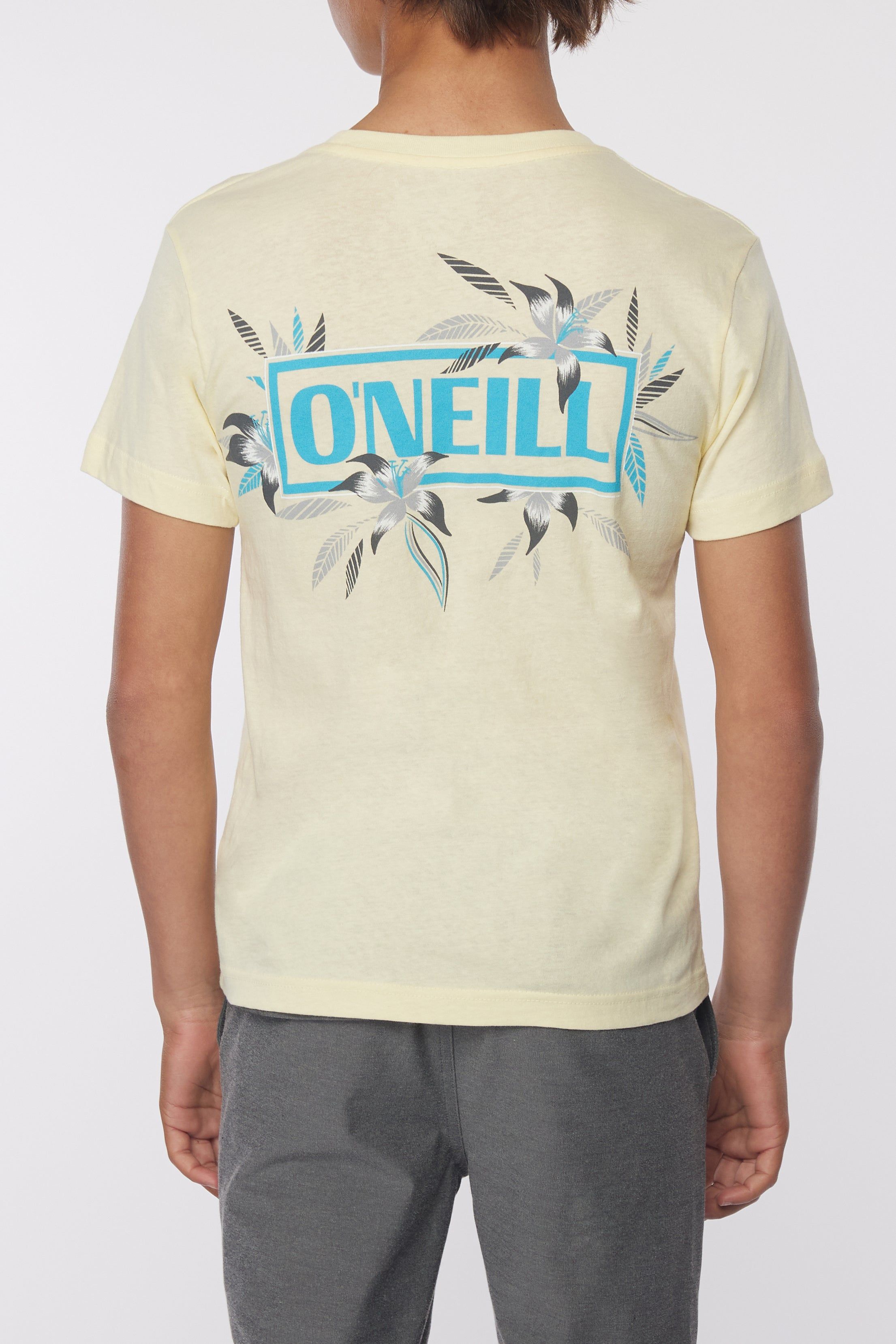 BOY'S YABRO TEE sold by O'Neill product image thumbnail 2