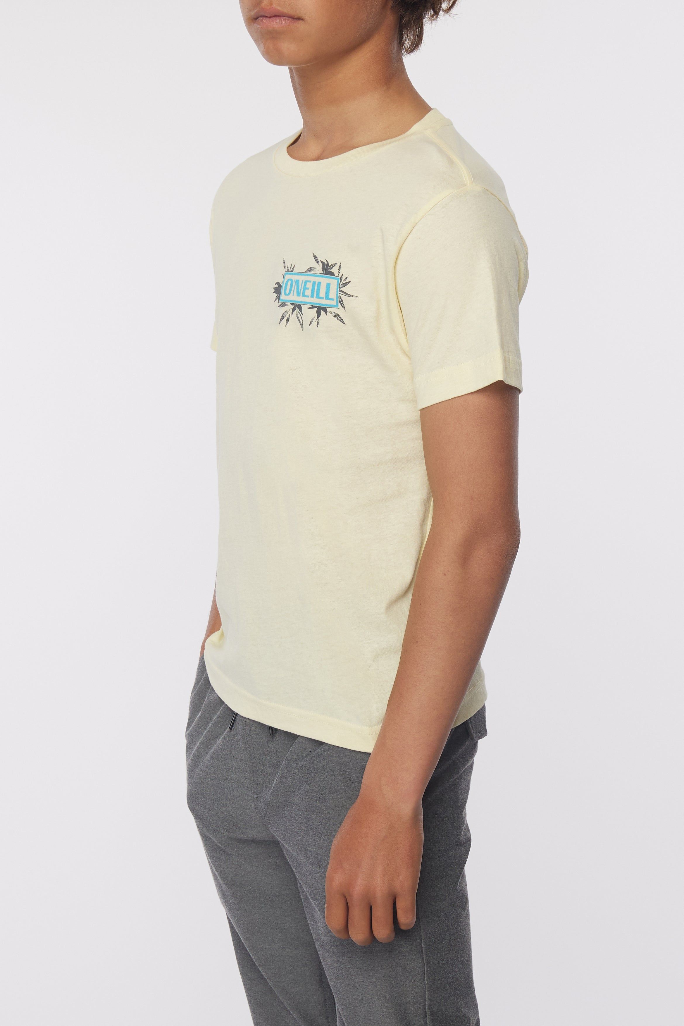BOY'S YABRO TEE sold by O'Neill product image thumbnail 4