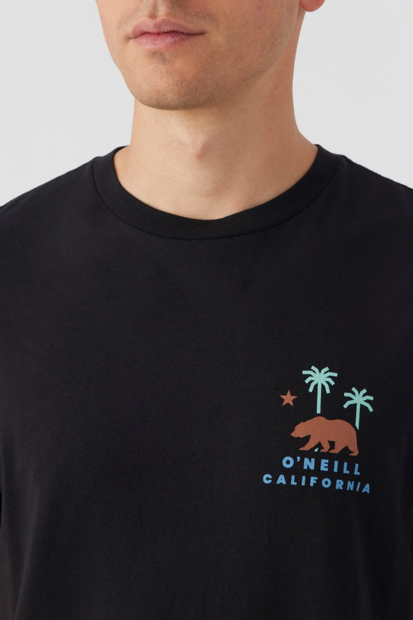 CALI BUMP TEE sold by O'Neill product image thumbnail 3