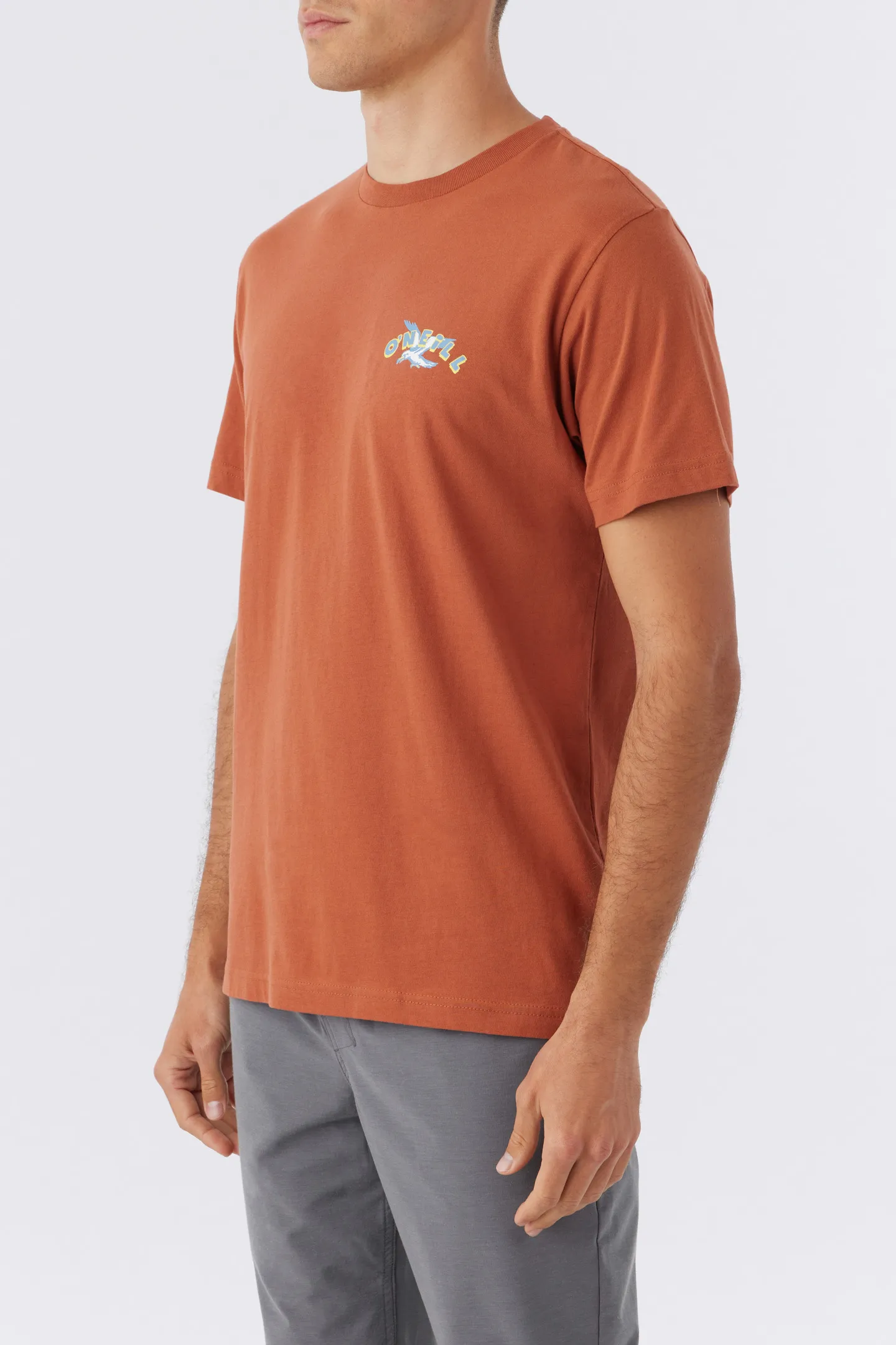 PLAYGROUND TEE sold by O'Neill product image thumbnail 4