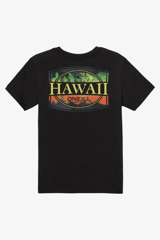 BOY'S DREAMWEAVER TEE sold by O'Neill