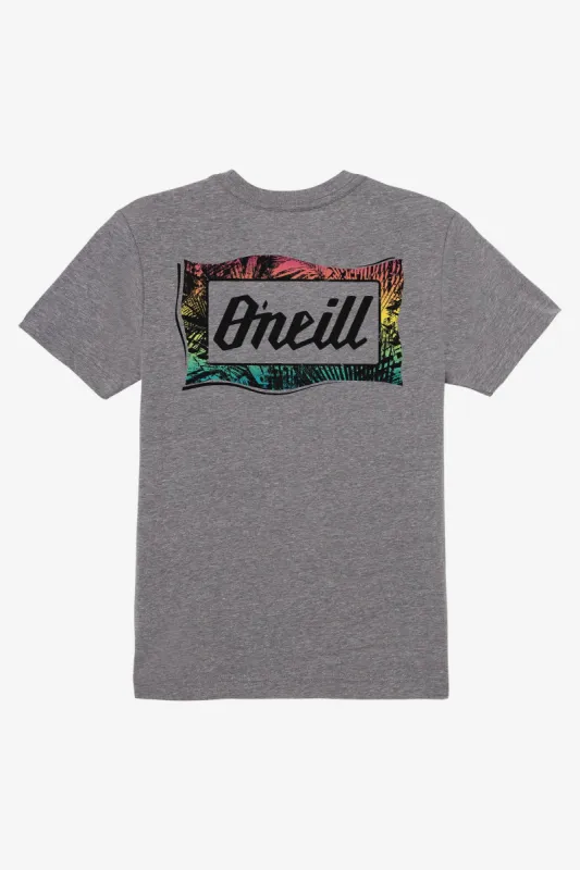 BOY'S BURNOUT TEE sold by O'Neill