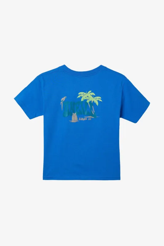 LITTLE BOY'S LAGGER TEE sold by O'Neill