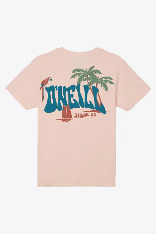 BOY'S LAGGER TEE sold by O'Neill
