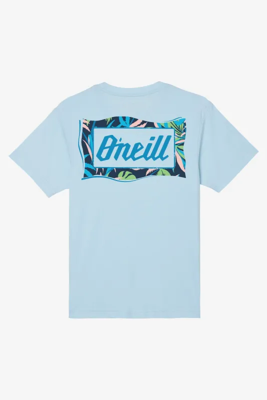 BOY'S BURNOUT TEE sold by O'Neill