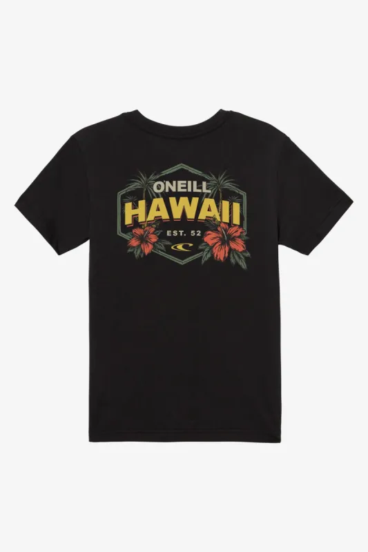 TUMBLELANDS TEE sold by O'Neill