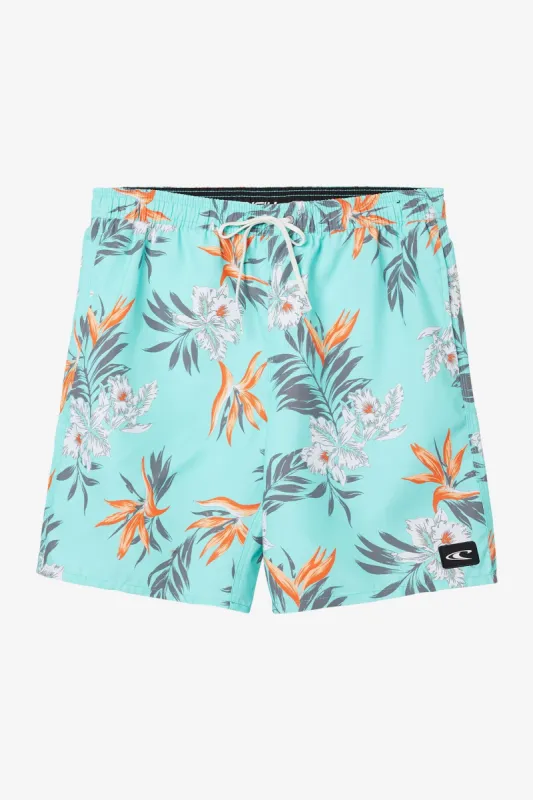 SANTA CRUZ DEPARTURE VOLLEY 18" BOARDSHORTS made by O'Neill