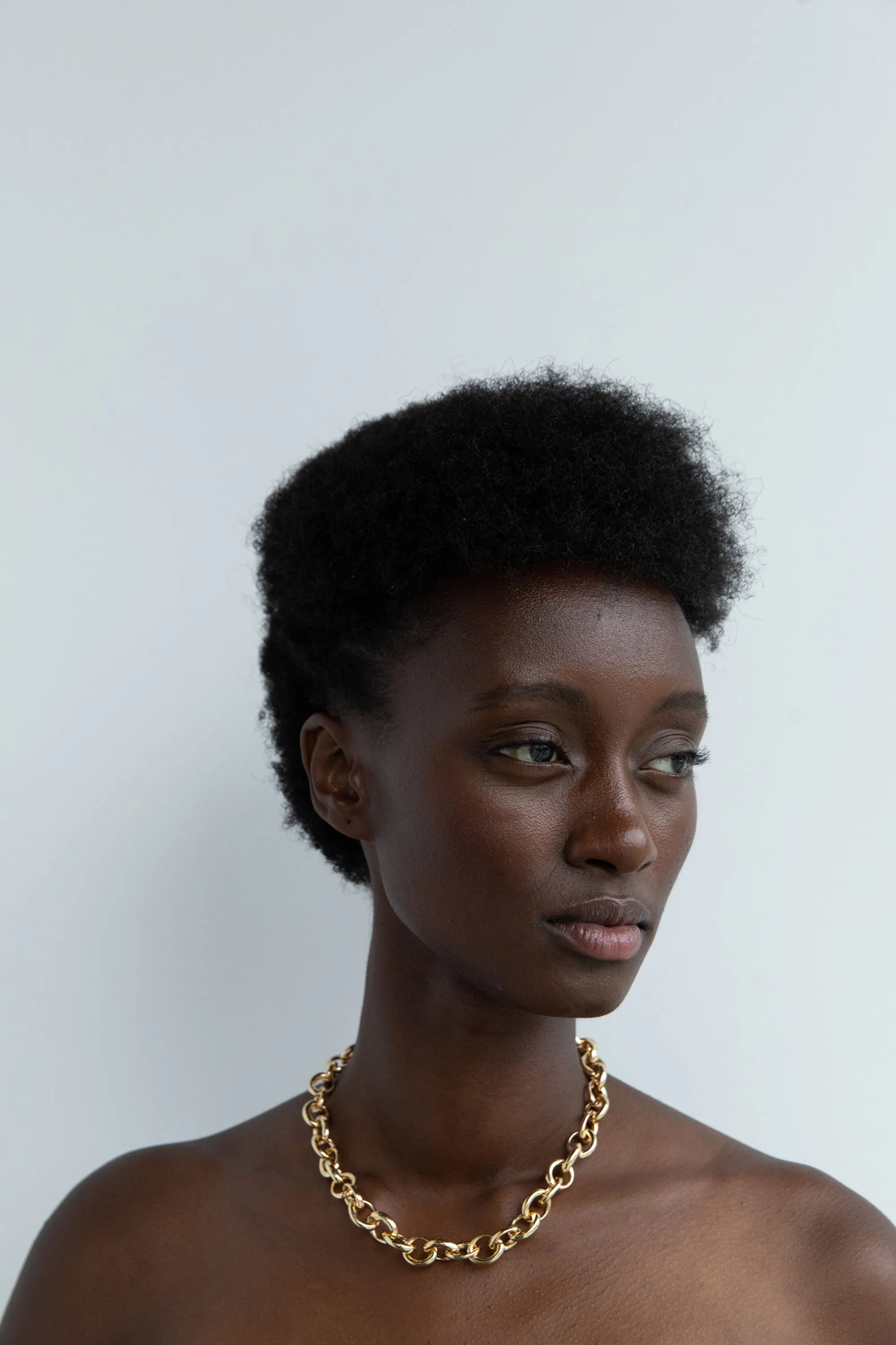 CHUNKY CHAIN NECKLACE sold by OAK AND FORT