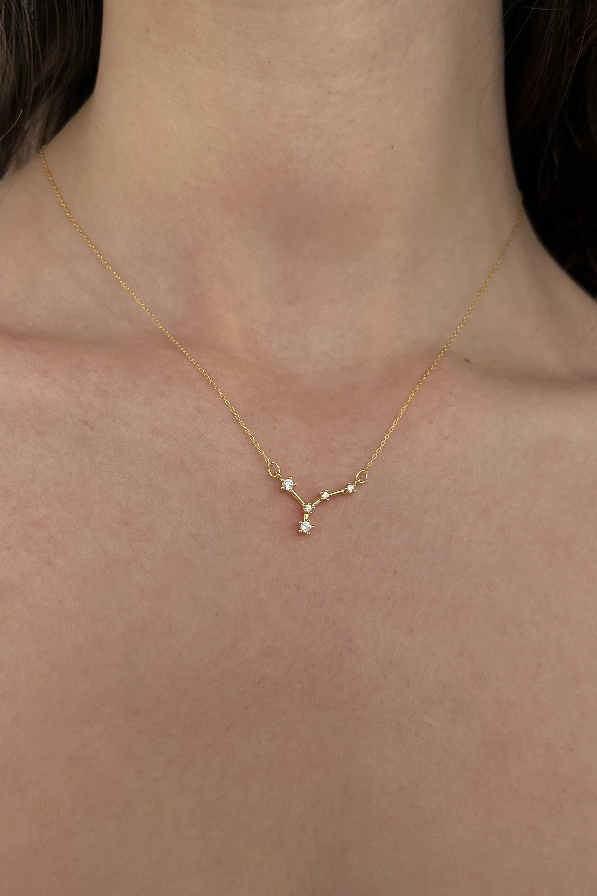 ZODIAC NECKLACE WITH ZIRCONIA sold by OAK AND FORT product image thumbnail 3