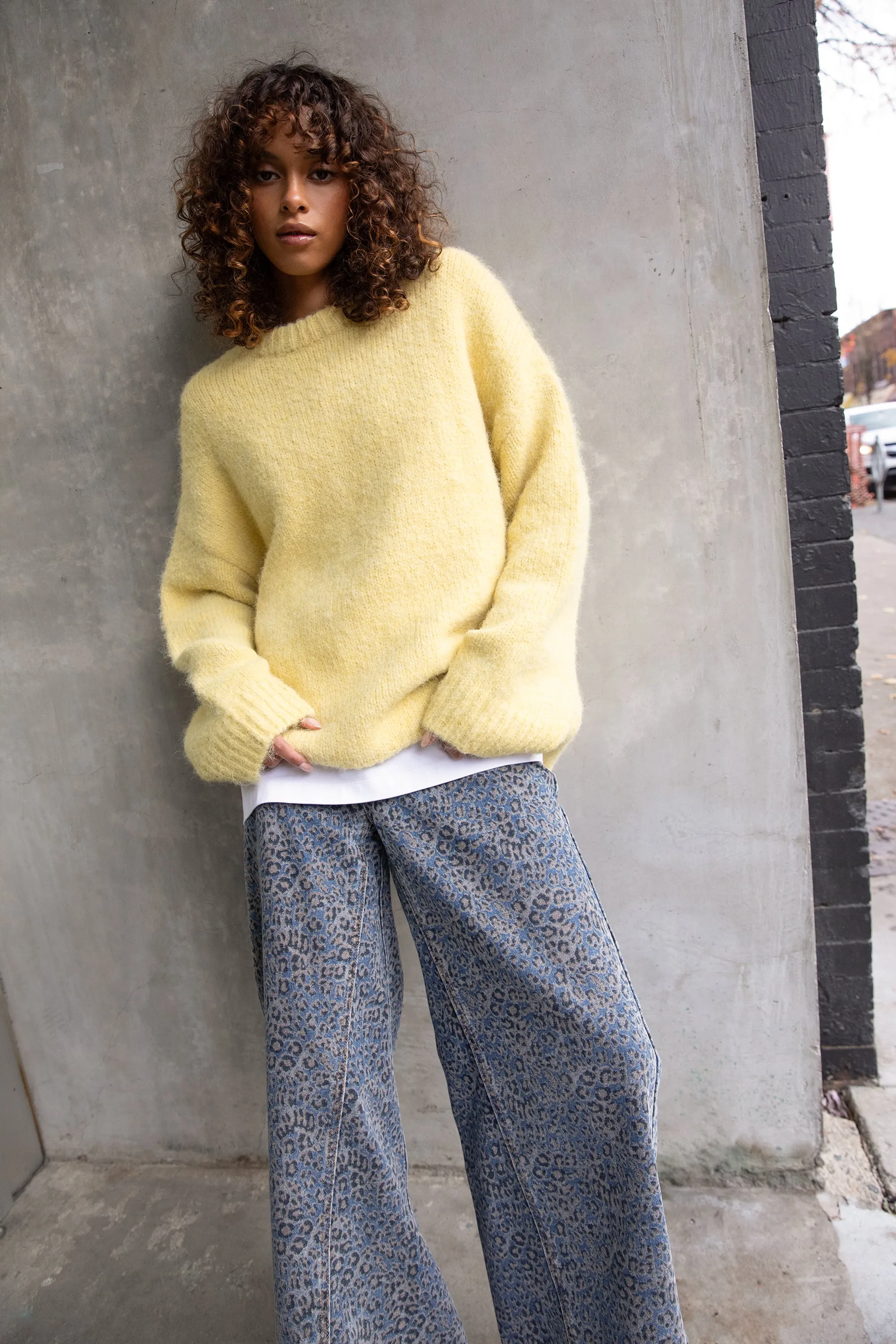 LEOPARD PRINT DENIM sold by OAK AND FORT product image thumbnail 2