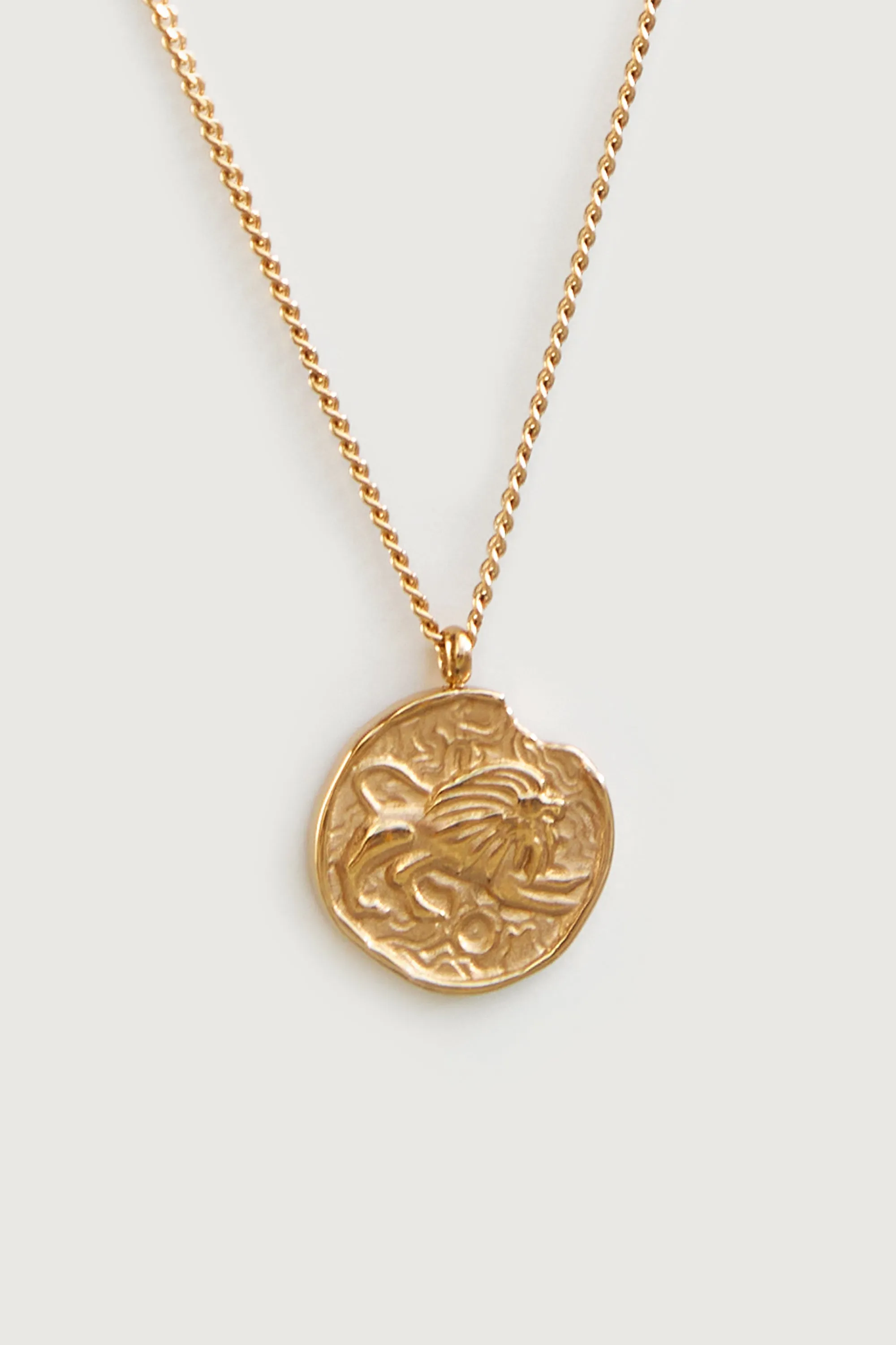 LEO PENDANT NECKLACE sold by OAK AND FORT