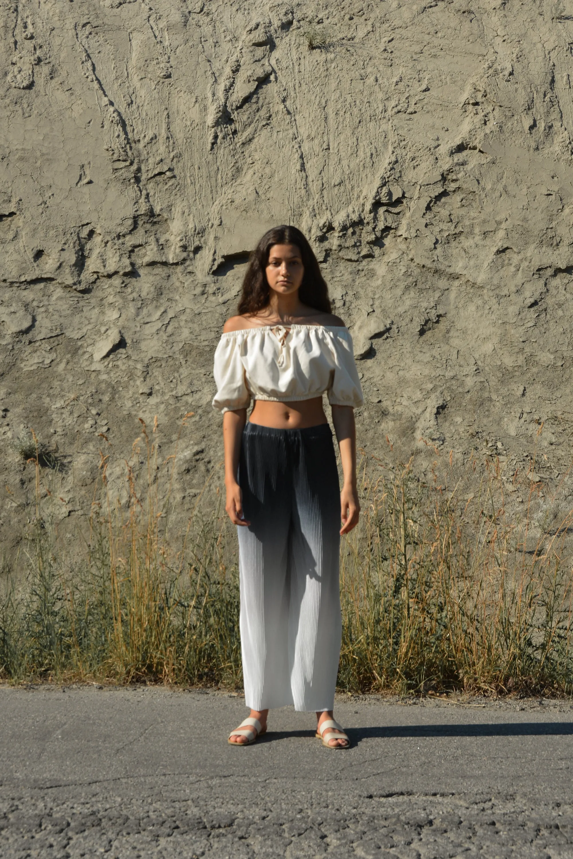 OMBRE PLEATED WIDE LEG PANT sold by OAK AND FORT