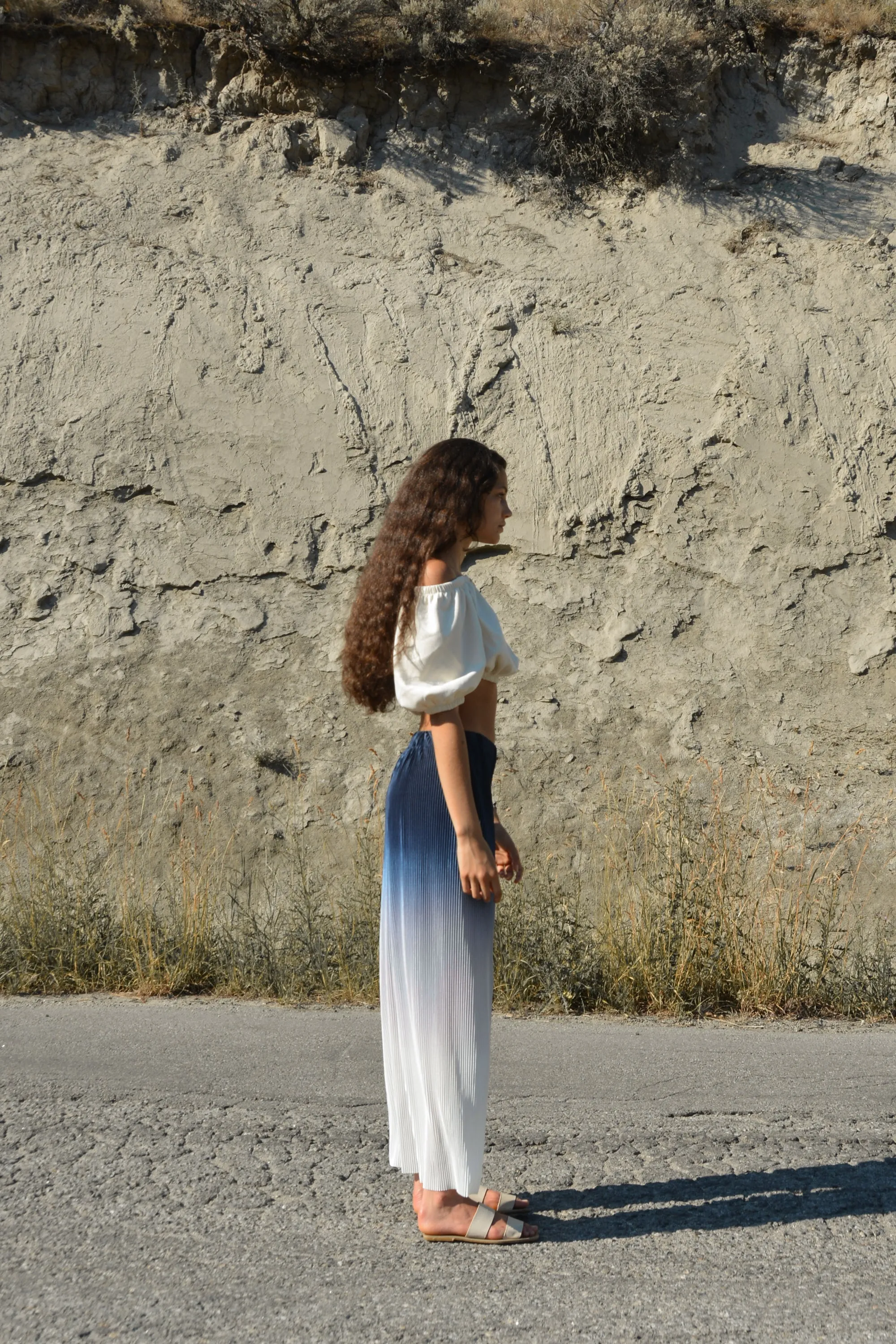 OMBRE PLEATED WIDE LEG PANT sold by OAK AND FORT product image thumbnail 3