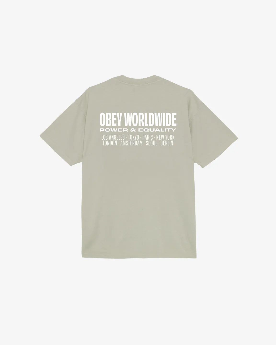 WORLDWIDE POWER & EQUALITY HEAVYWEIGHT T-SHIRT sold by Obey product image thumbnail 5