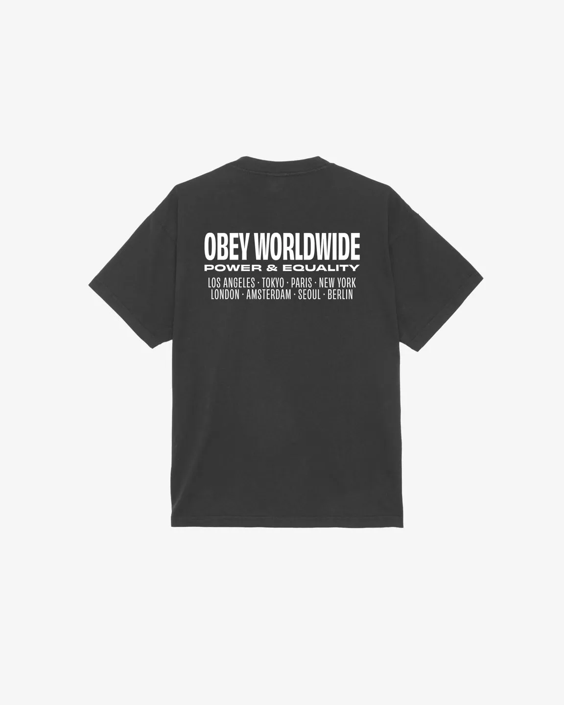 WORLDWIDE POWER & EQUALITY HEAVYWEIGHT T-SHIRT sold by Obey product image thumbnail 3