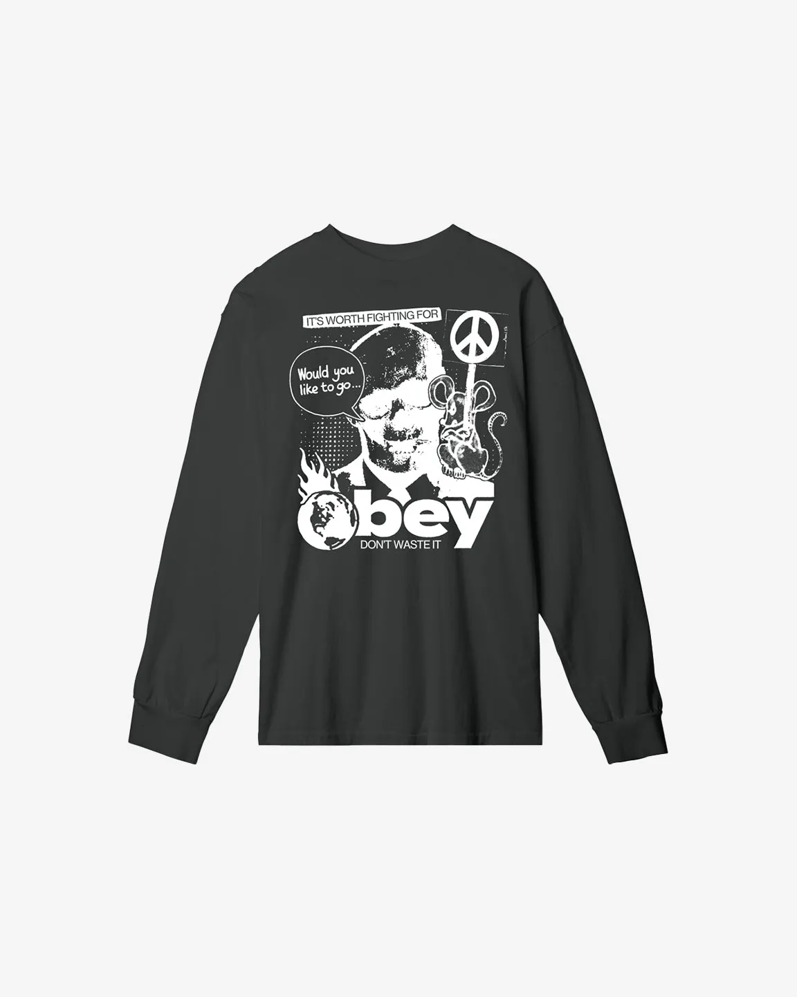 DONT WASTE IT HEAVYWEIGHT LS T-SHIRT sold by Obey product image thumbnail 3