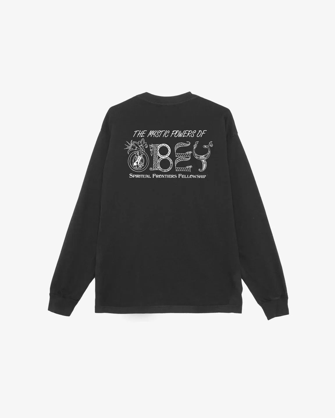 MYSTIC POWERS HEAVYWEIGHT LS T-SHIRT sold by Obey product image thumbnail 2