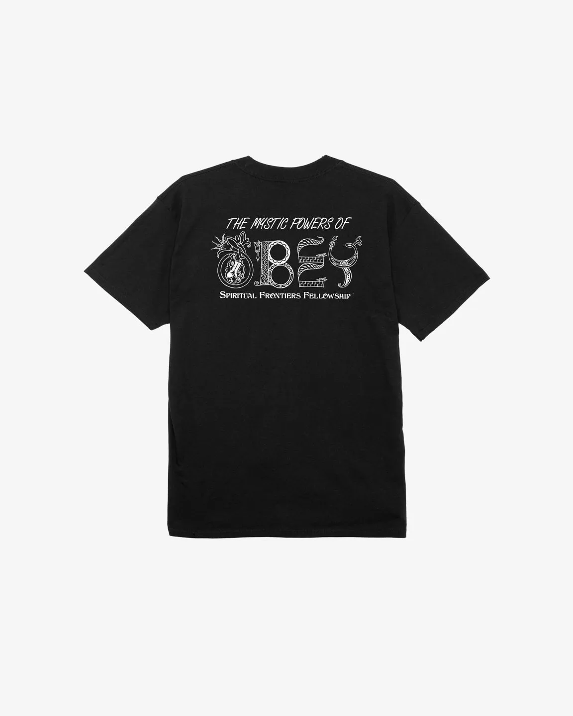 MYSTIC POWERS CLASSIC T-SHIRT sold by Obey product image thumbnail 2