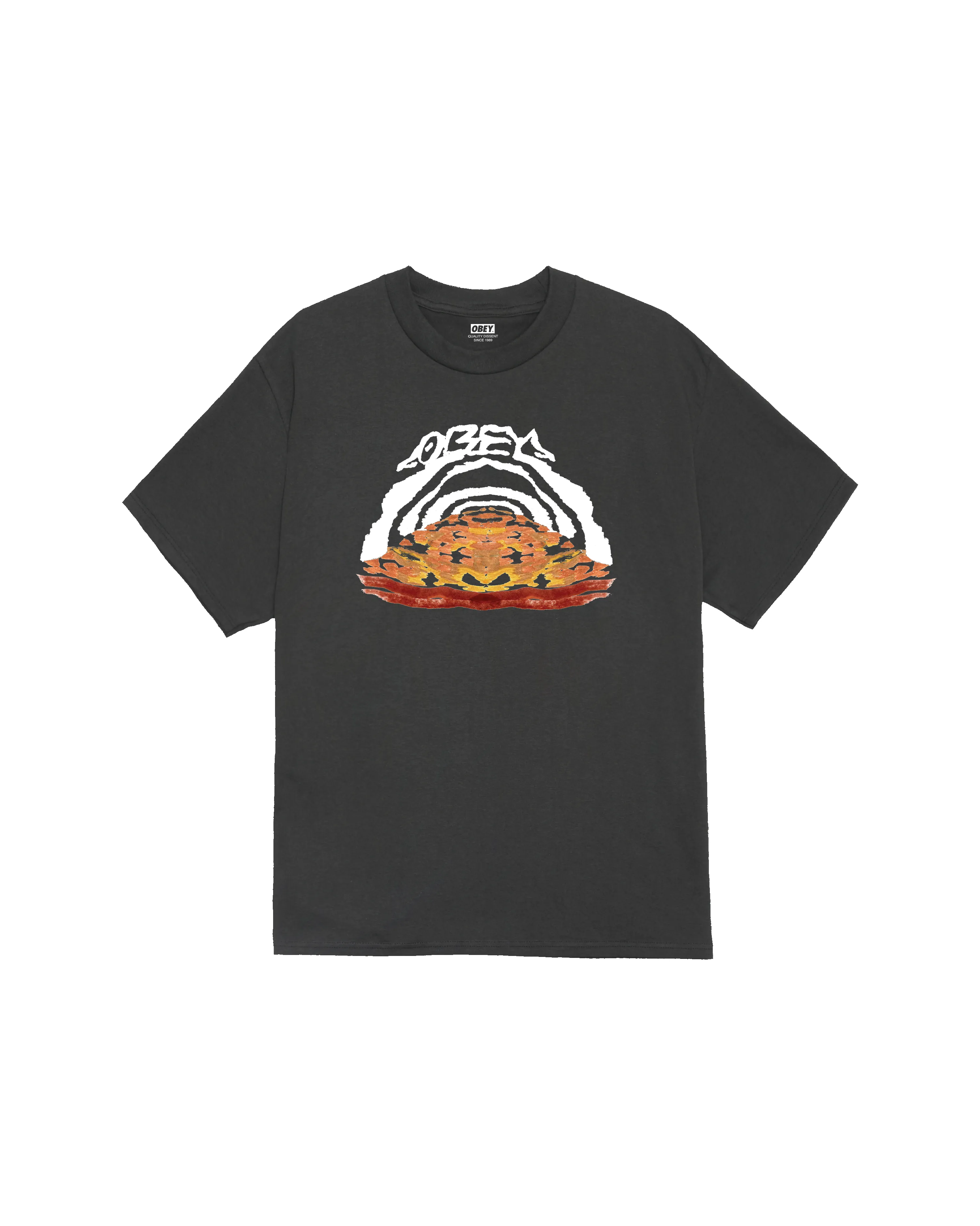 TAKE THE LEAP CLASSIC T-SHIRT sold by Obey product image thumbnail 2