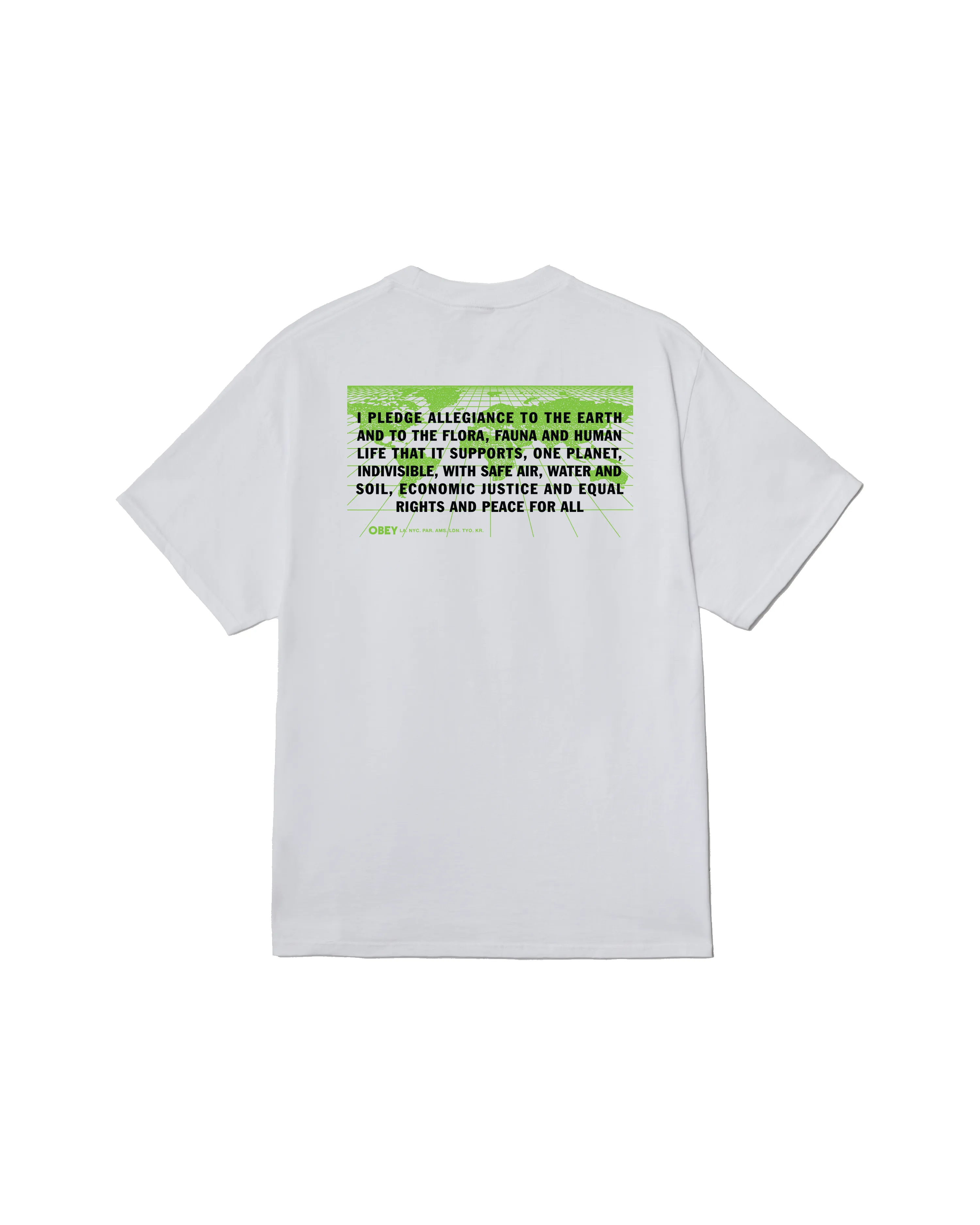 PLEDGE ALLEGIANCE CLASSIC T-SHIRT sold by Obey