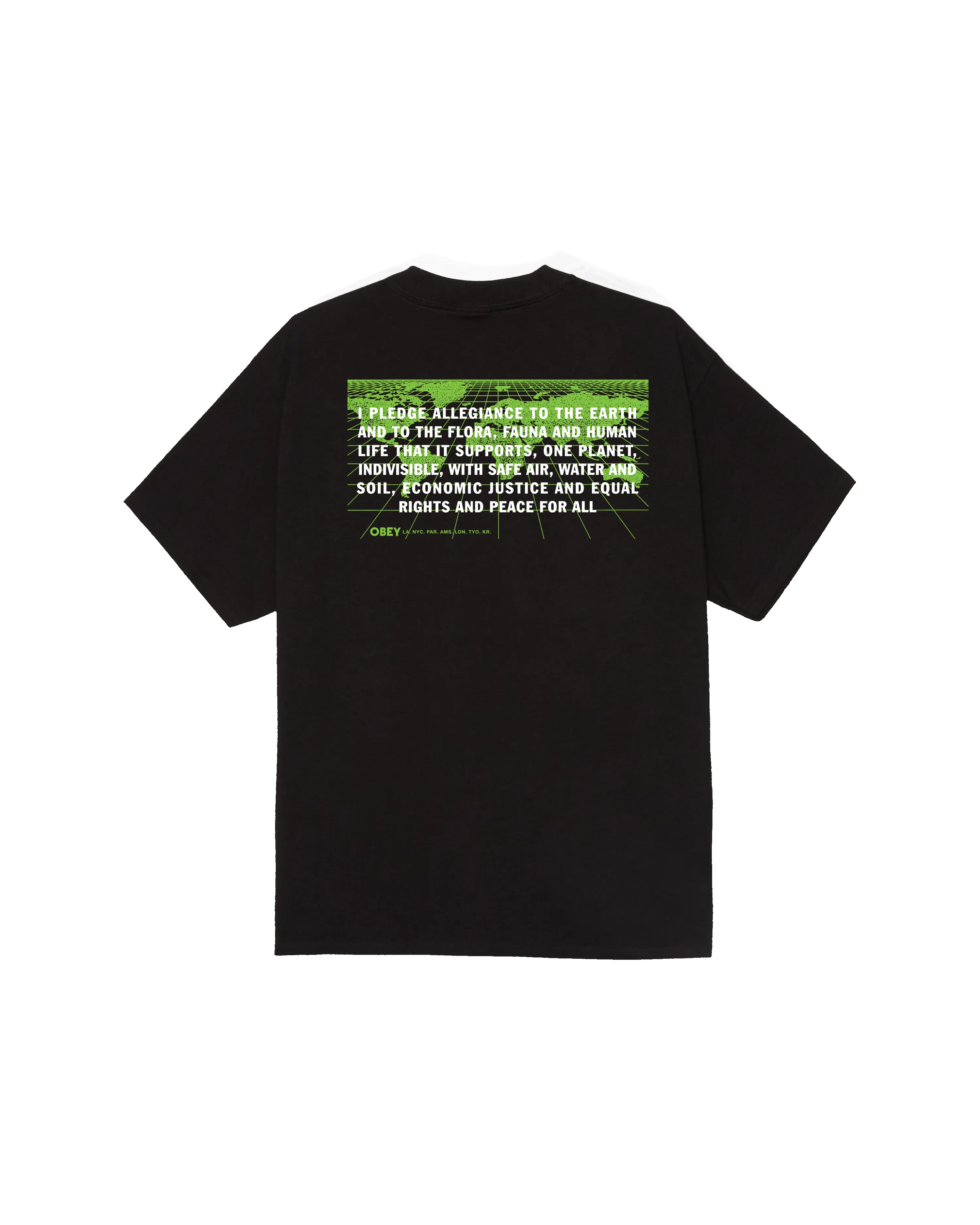 PLEDGE ALLEGIANCE CLASSIC T-SHIRT sold by Obey