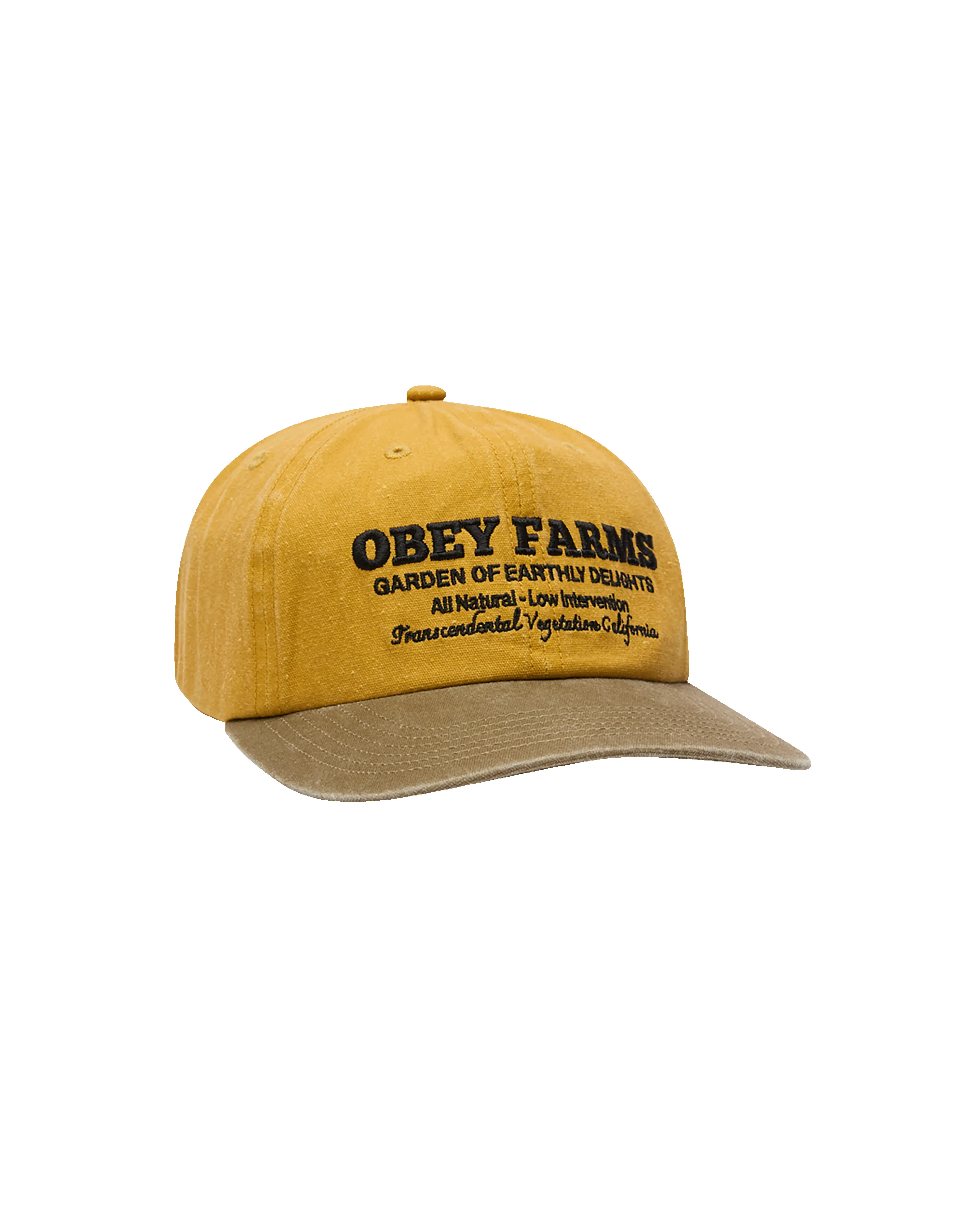 FARMS PIGMENT STRAPBACK sold by Obey